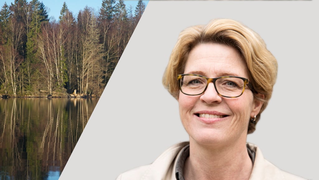 Skog