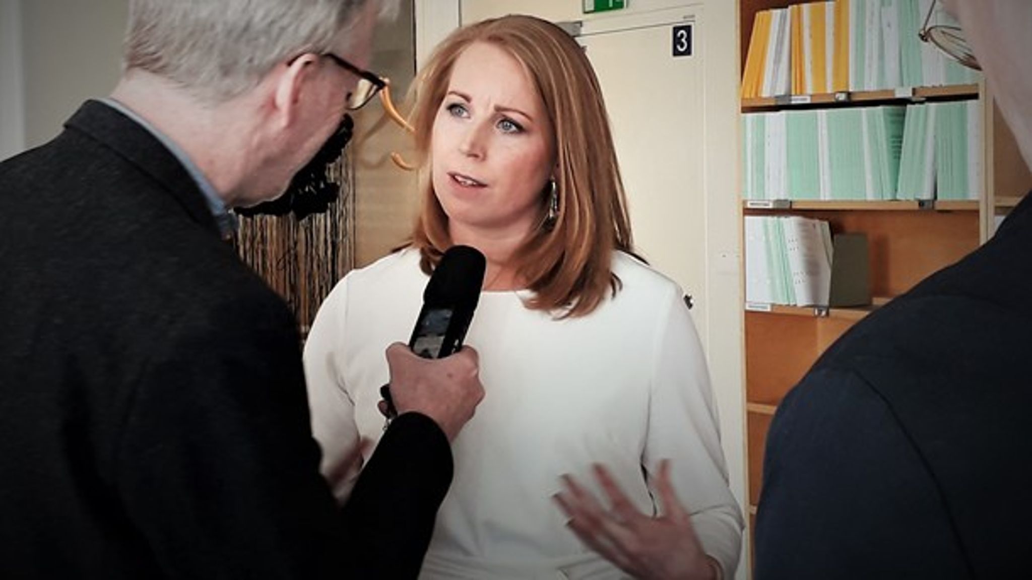 Centerns partiledare Annie Lööf hade kafferep med riksdagsjournalister i veckan.