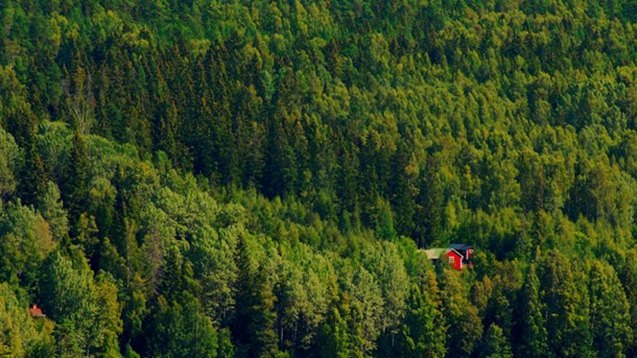 Min huvudkritik är att samverkansgruppens rapport saknar en helhetssyn och utförts i ett slutet rum. Staten kan inte fortsätta att negligera helhetsfrågan om vi ska nå hållbarhet, skriver Nilsson.