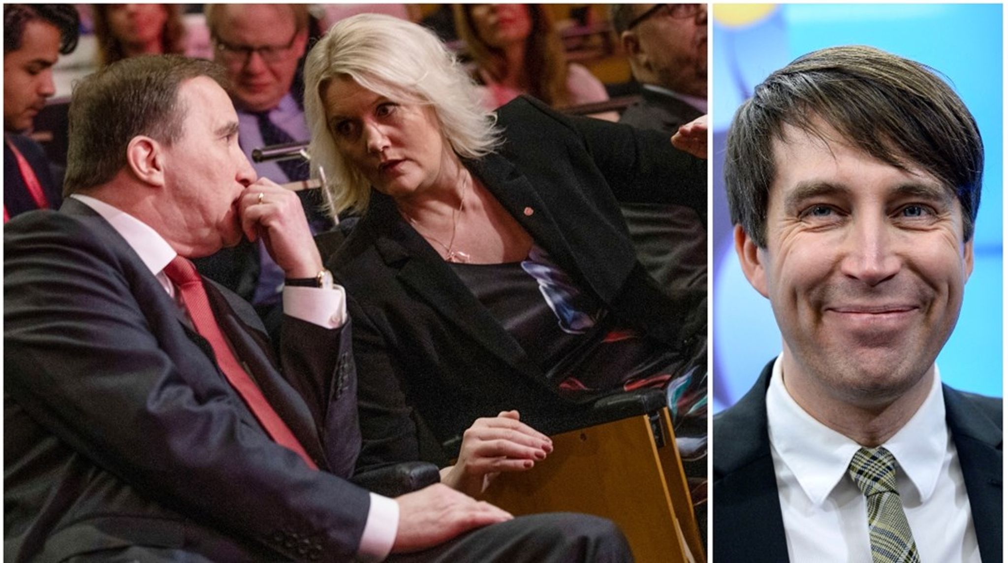 Stefan Lövens och Lena Rådström Baastads&nbsp;parti tappar medlemmar. Richard Jomshofs&nbsp;SD ökar däremot sitt medlemsantal.