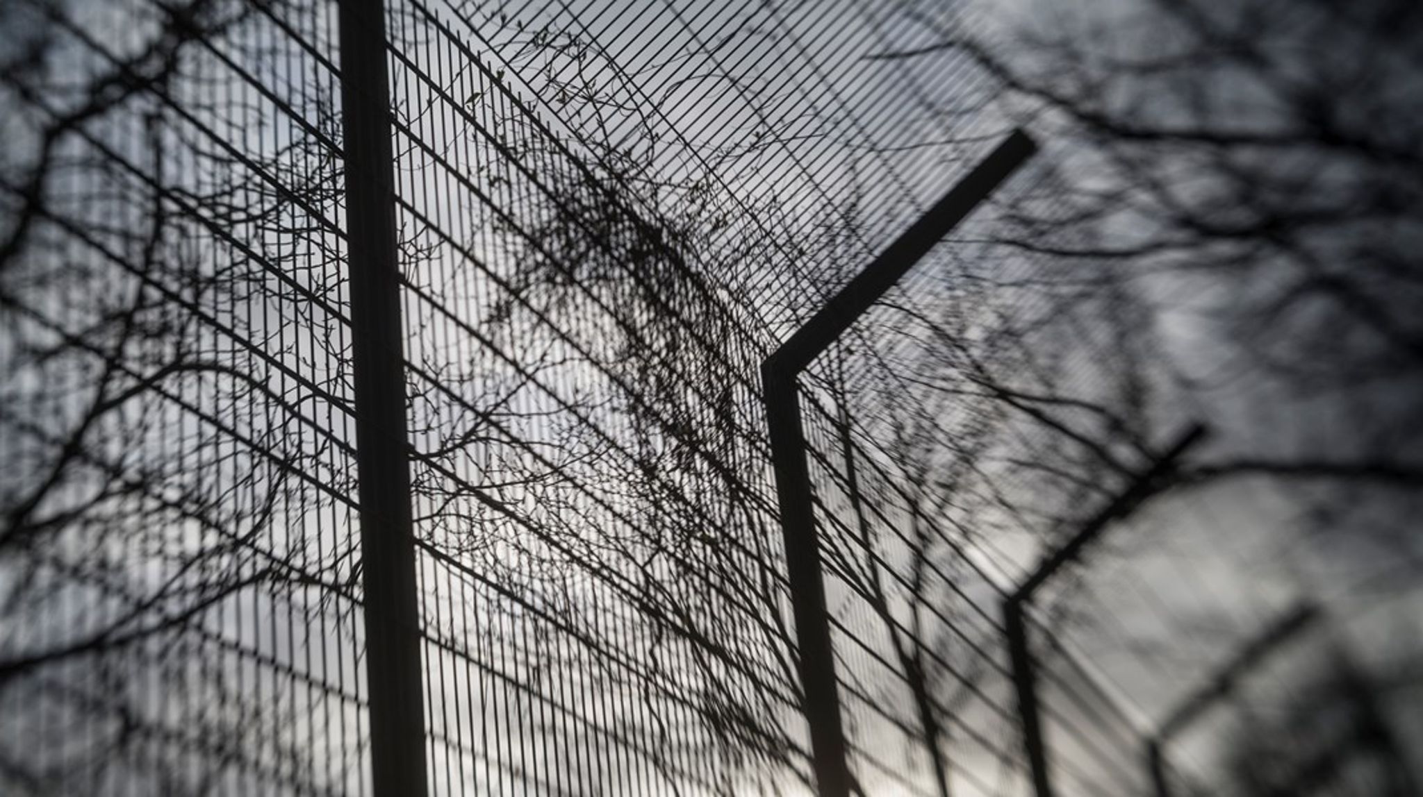Regeringen vill att unga från 18 år ska kunna få livstids fängelse.