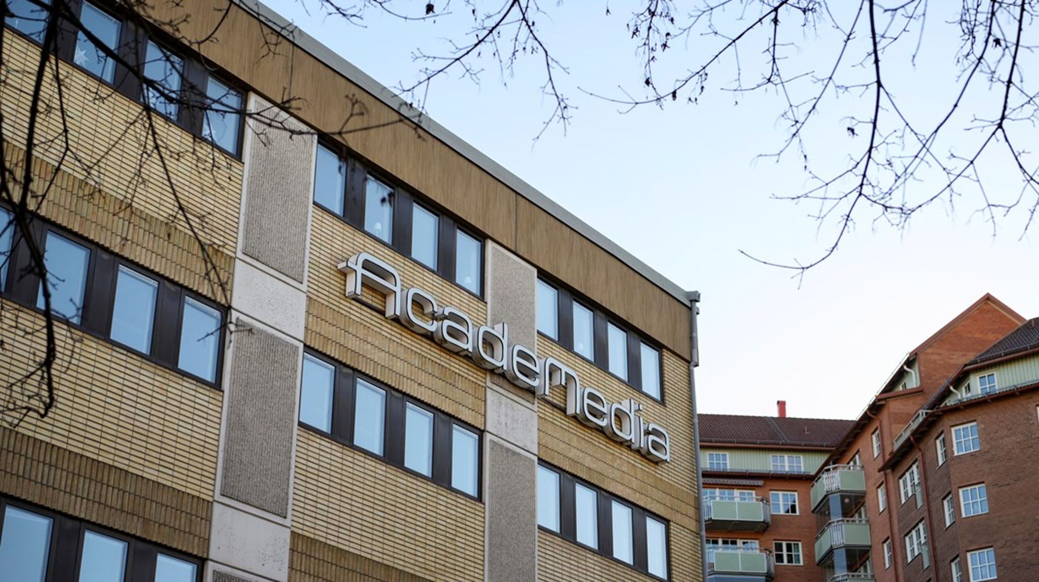 Åtta av tio ansökningar har inkommit från sökande med koncerntillhörighet, och bakom de godkända ansökningarna står totalt 21 olika koncerner.