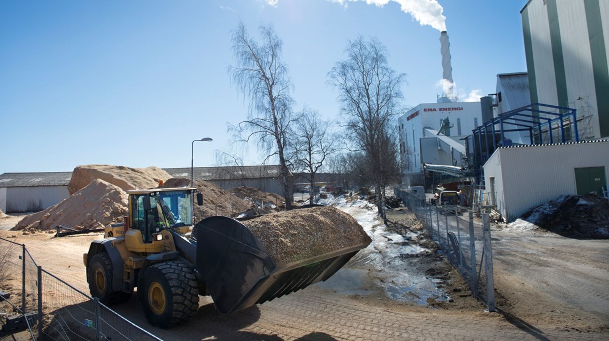 Vilken form av skogsbränsle ska få stöd framöver i unionen för att producera bara el? <br>