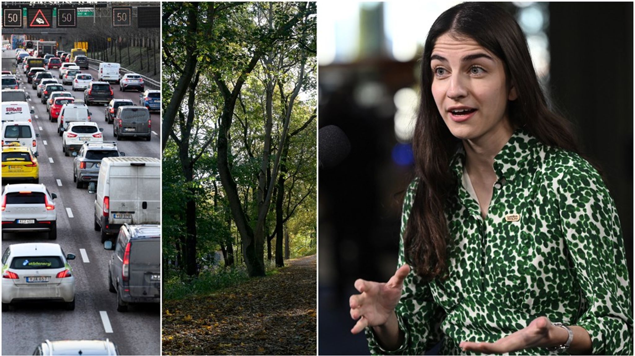 ”De tillägg som gjordes i slutet av förhandlingarna kring just skogen var tillägg som vi menade kraftigt ökade risken för att det skulle drabba svenskt skogsbruk på ett negativt sätt”, säger Romina Pourmokhtari (L) till Altinget.