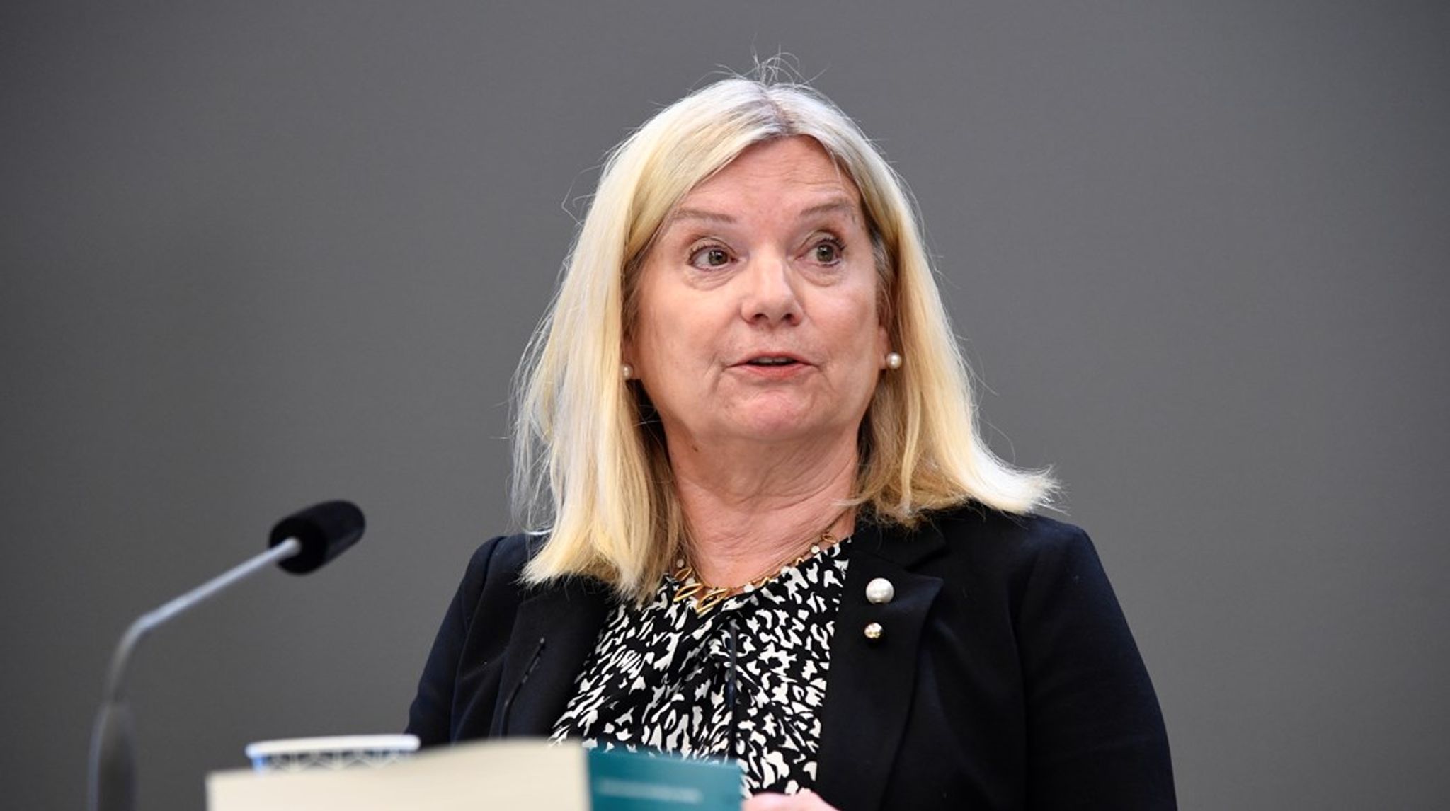 Kathrin Flossing Wiklund, jurist och tidigare riksdagsdirektör, ska utreda hur utbyggnaden av fängelser och häkten kan snabbas på. 