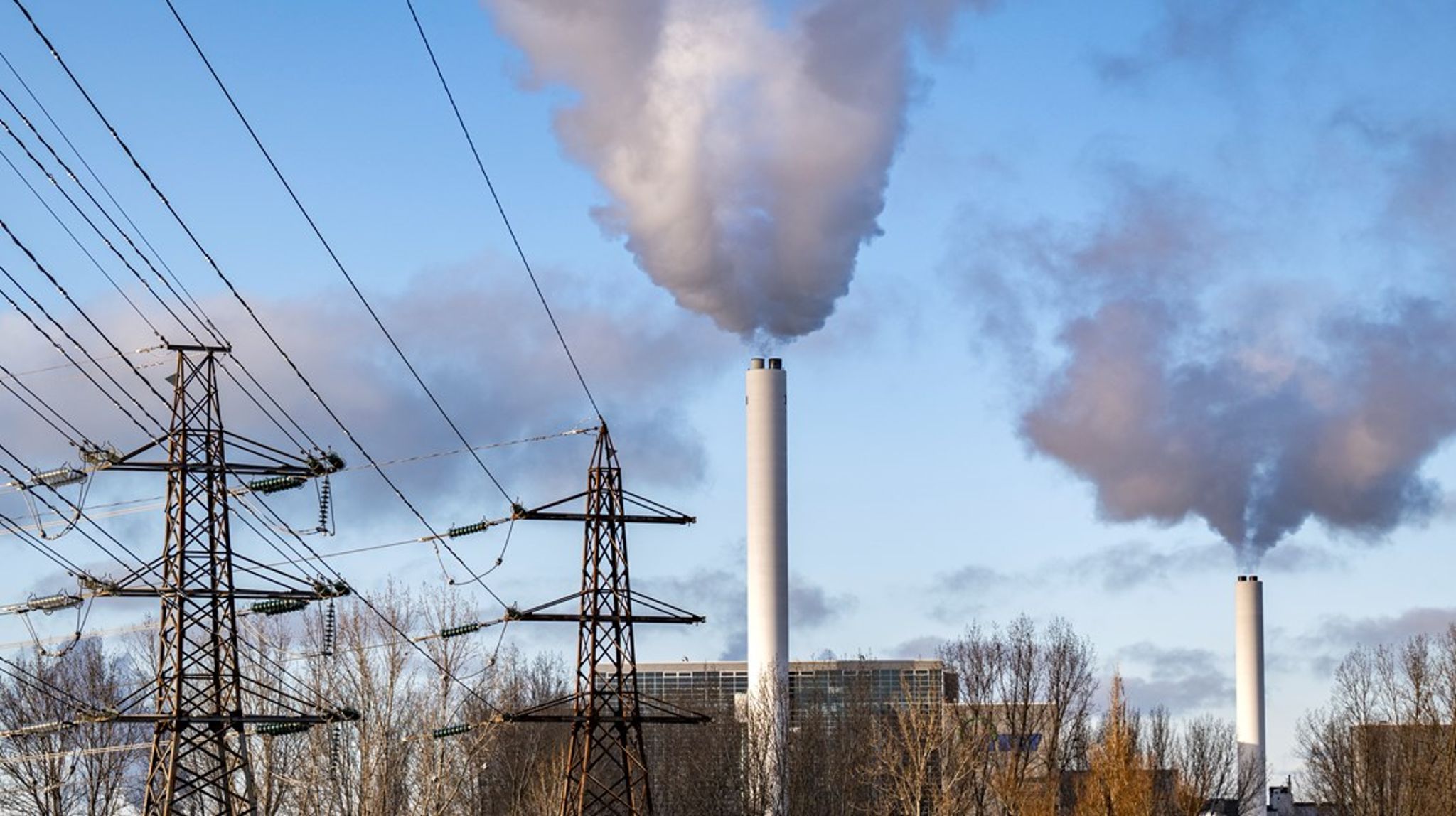Sågspån, bark och så kallad grot stod för 24 procent av den tillförda energin 2023, och avfall stod för näst störst andel med 20 procent. <br>