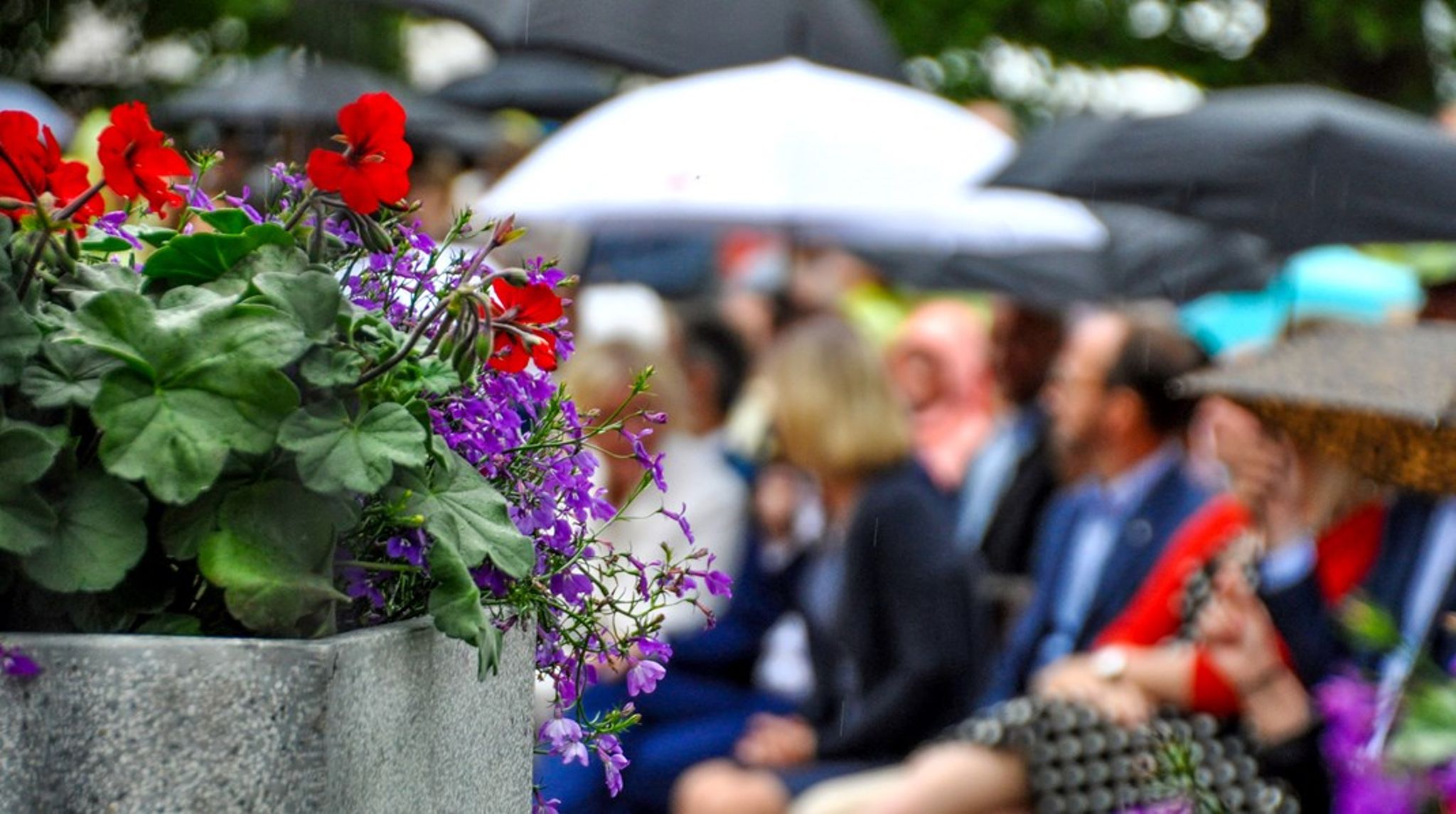 Orosmoln över EU – regn i Almedalen? Rusta er med paraply och frossa loss i EU-seminarer under Almedalsveckan.&nbsp;