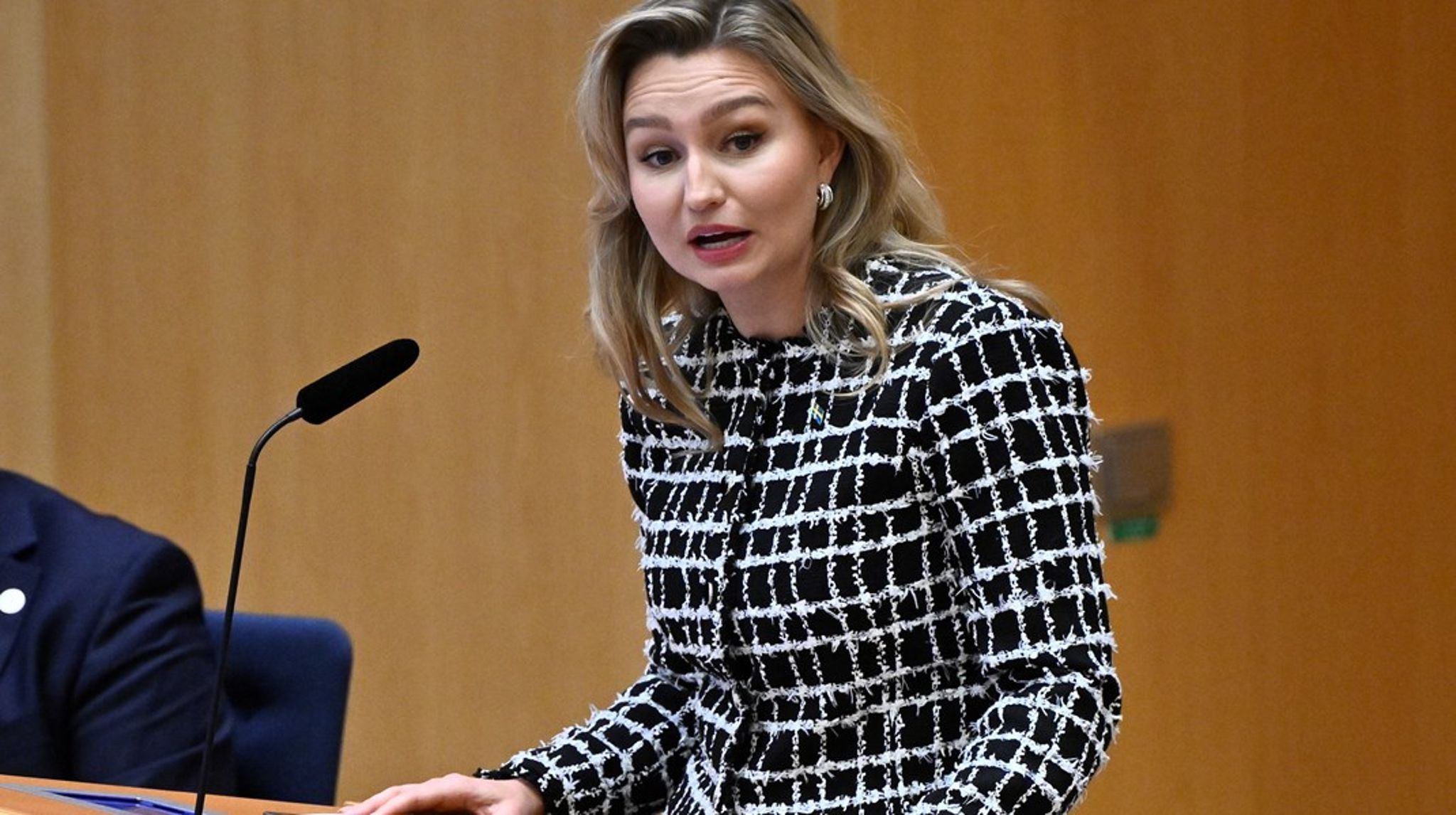 Energi- och näringsminister Ebba Busch (KD) i riksdagens talarstol.