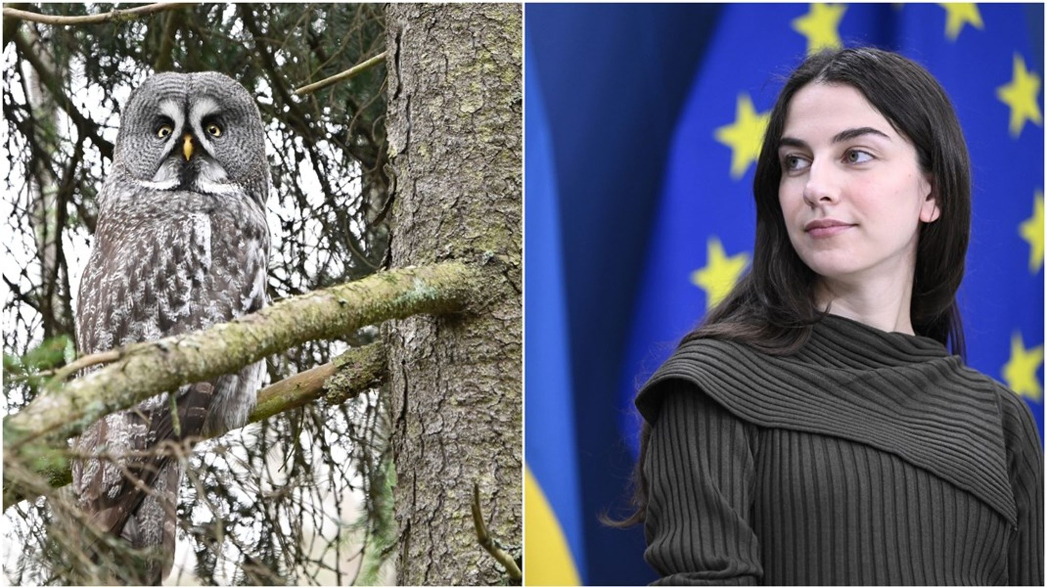 Det minsta regeringen borde göra är att förklara hur man tänkt, skriver debattörerna.