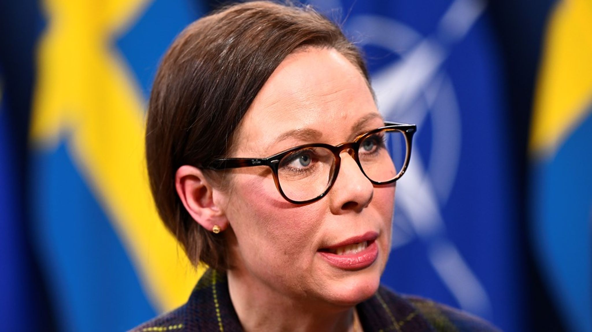Utrikesminister Maria Malmer Stenergard anser att det allvarliga säkerhetsläget motiverar att regeringen går fort fram med inrättandet av den nya myndigheten.