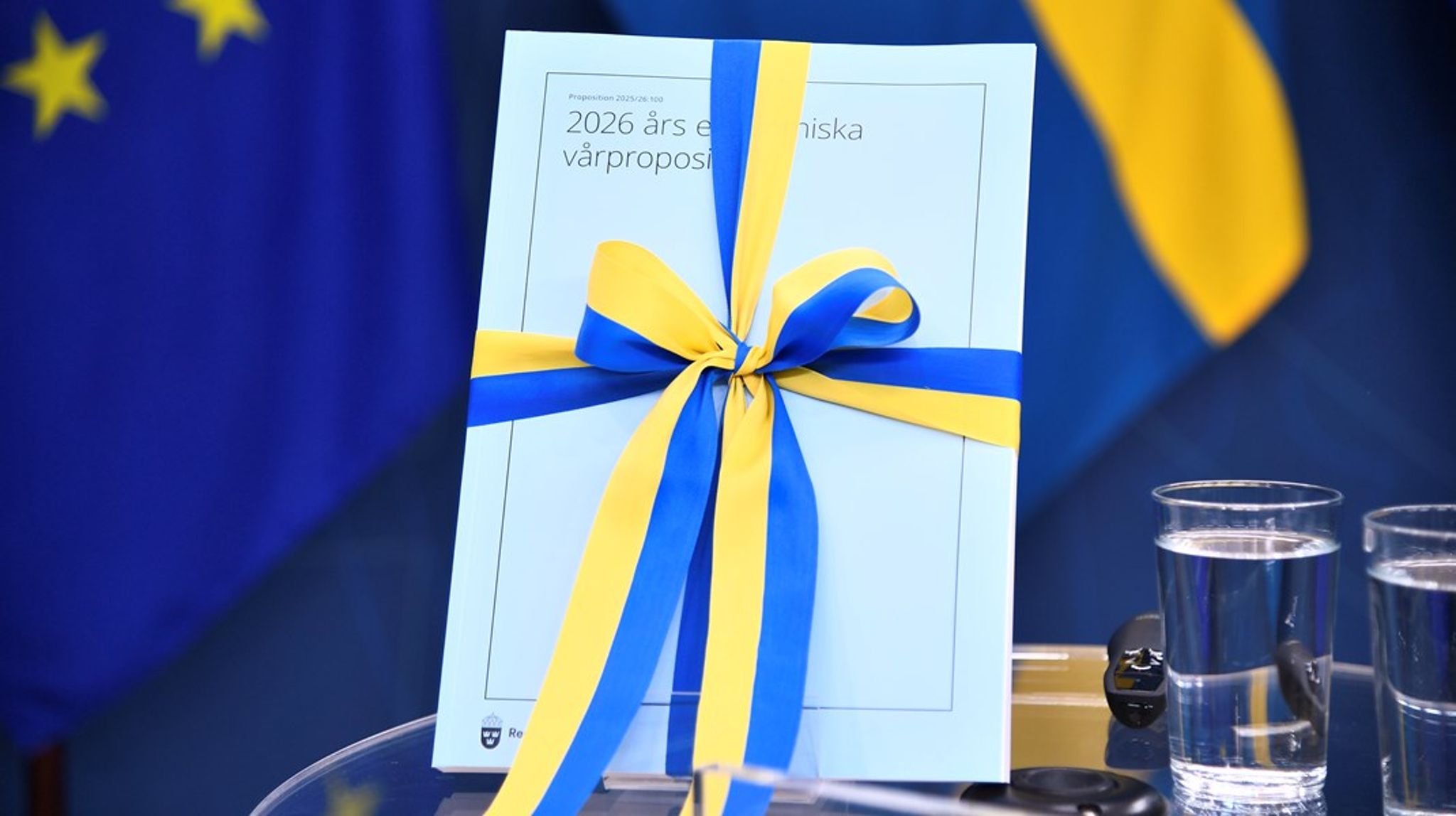 Vårbudgeten blev ingen stor present till assistansområdet. Men några få rader text väcker ändå hoppet om en förändring.