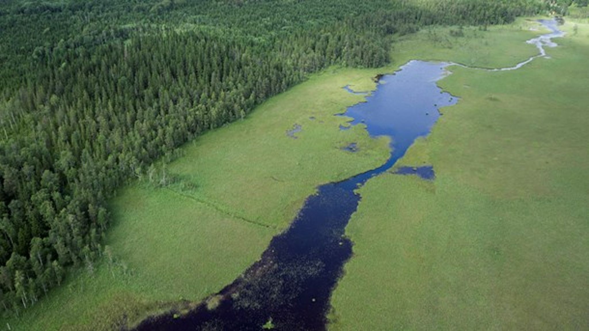 Venakärrets naturreservat, Nora kommun, Örebro län.<br>