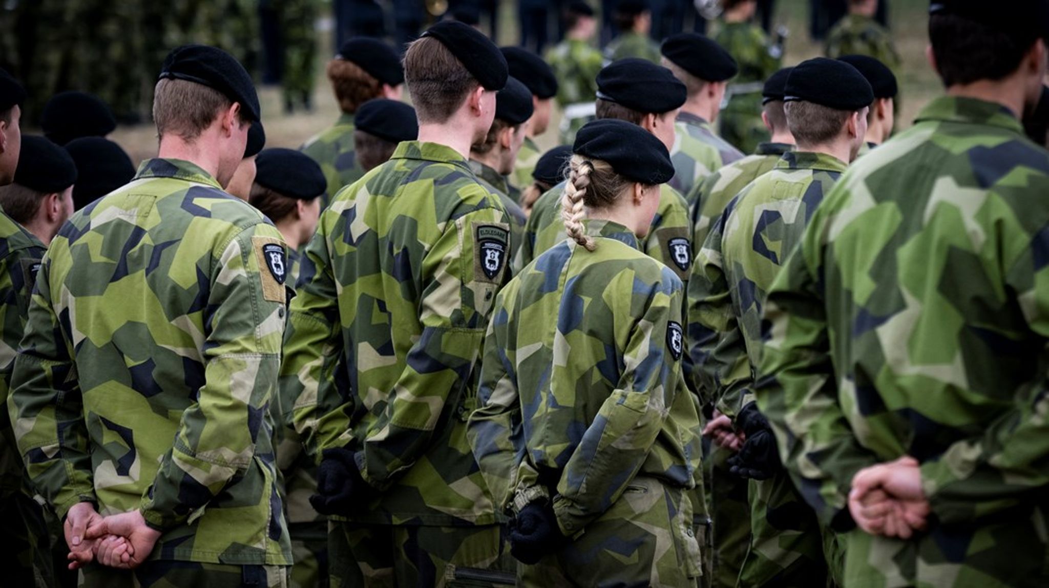 Riksdagen får hålla sig till tåls.&nbsp;