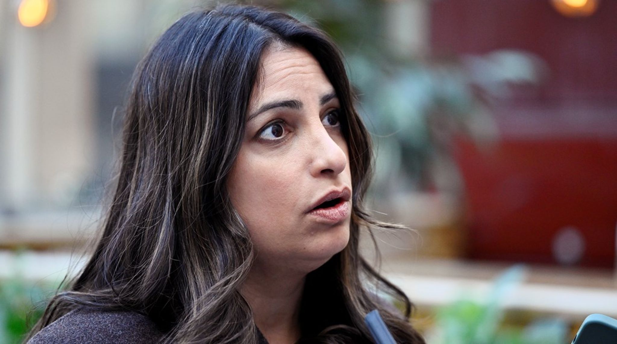 Nooshi Dadgostar har sagt att personerna inte kan representera Vänsterpartiet.
