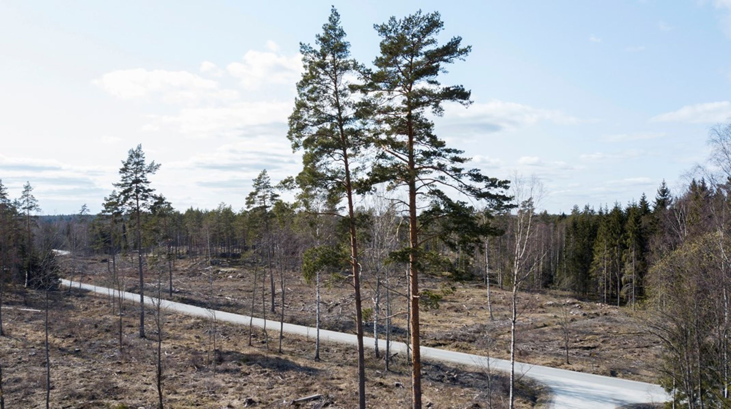 Här hemma och världen över underlättar svenska träfiberbaserade sanitetsprodukter tillvaron för oräkneliga antal småbarnsföräldrar och gamla. För att inte tala om betydelsen av pappersprodukter inom sjuk- och hälsovård, skriver debattören.