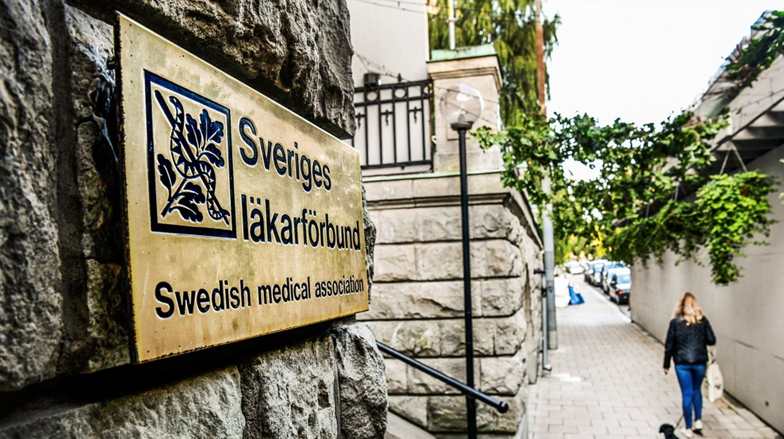 Sveriges Läkarförbund har en ny styrelse.&nbsp;