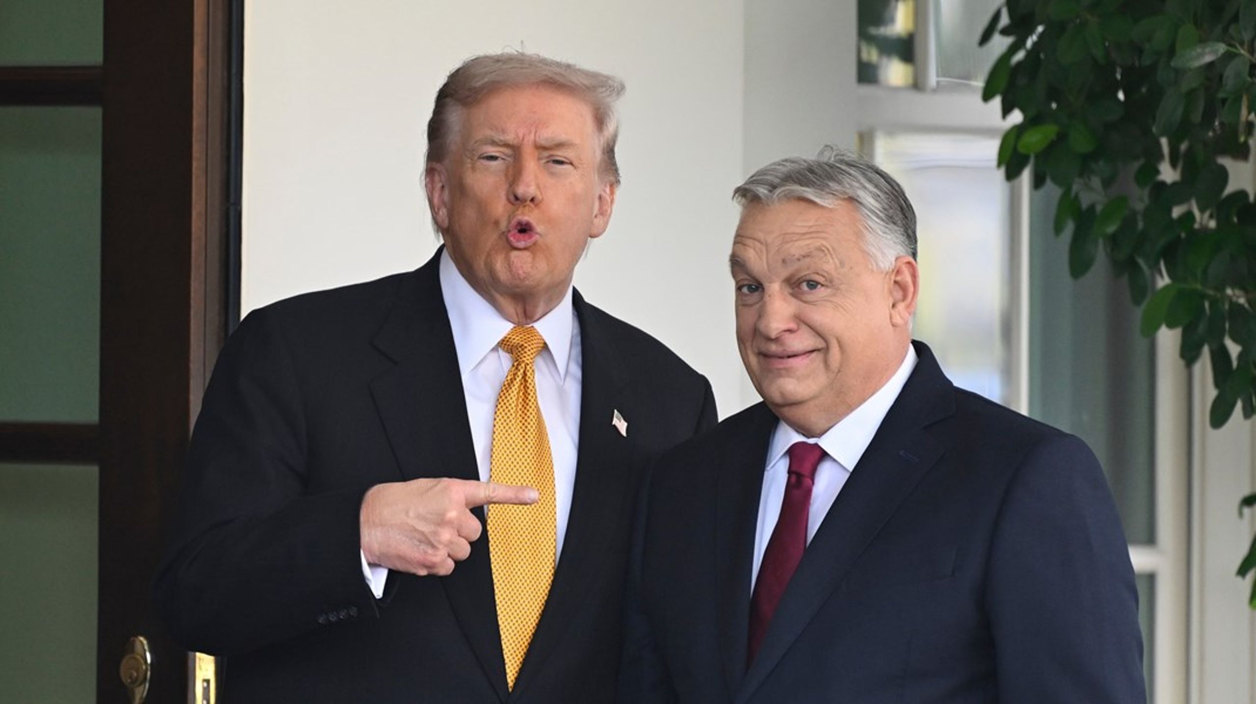 Mötet mellan Donald Trump och Viktor Orbán i Vita huset den
7 november var ”great”.