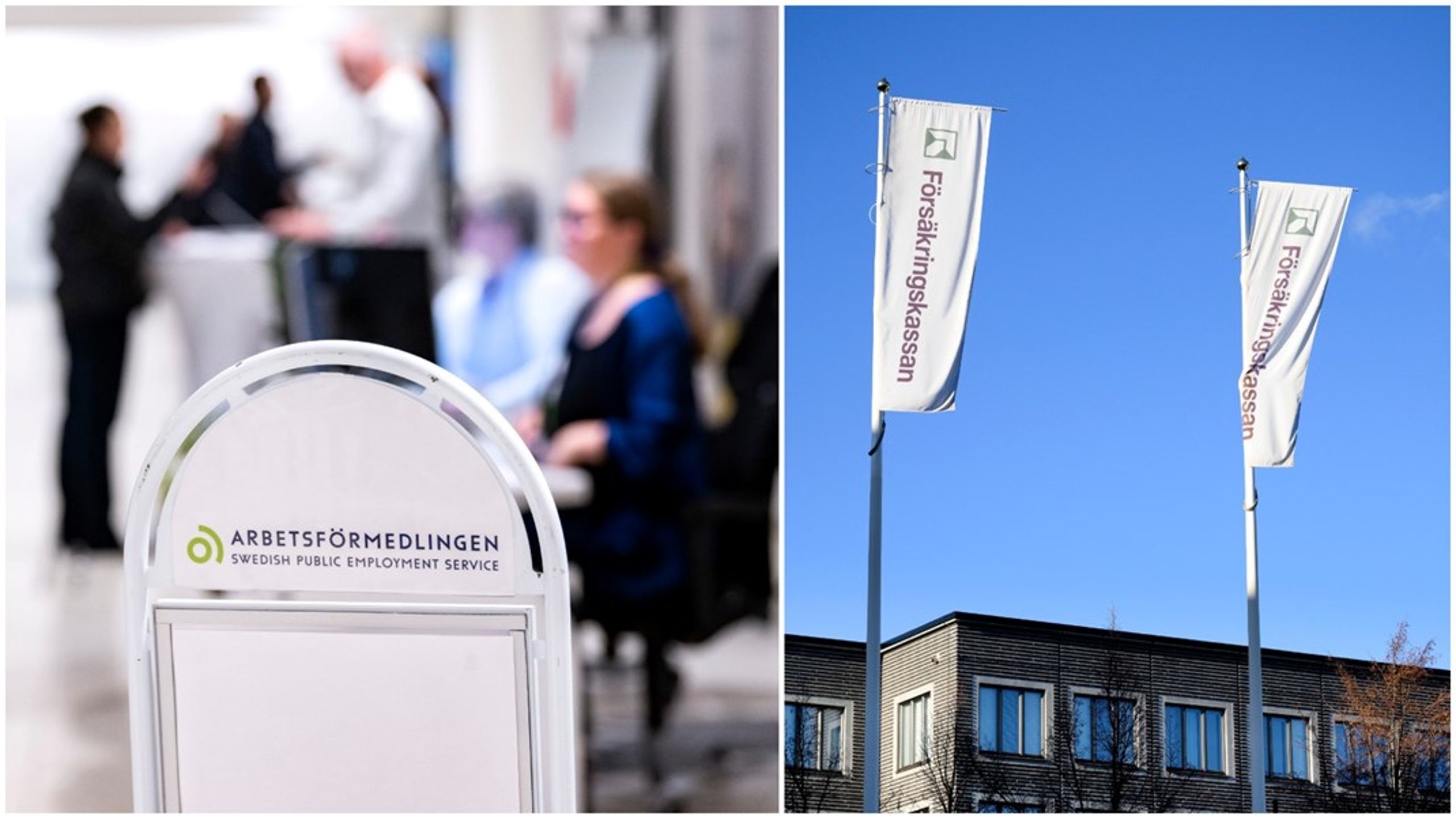 Arbetsförmedling är ofta snabb på att ge dispens från sitt eget högskolekrav för arbetsförmedlare utan att först ha provat om det går att rekrytera akademiker, skriver debattörerna.