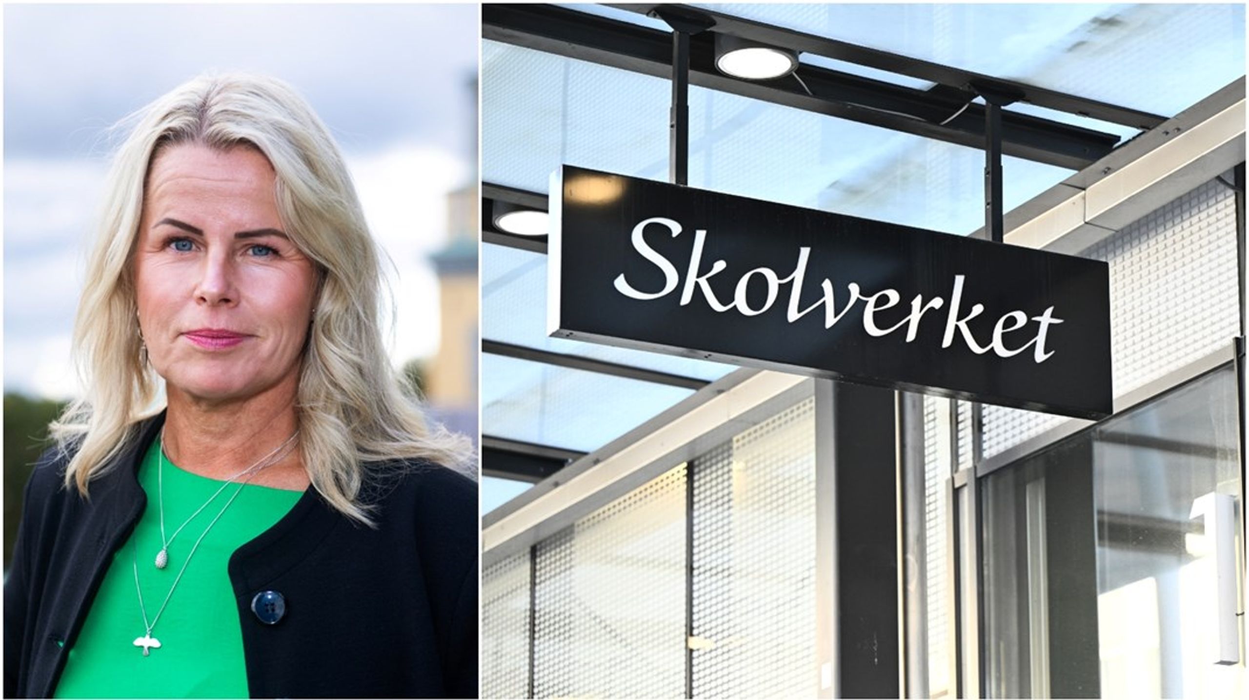 Sverige har inte råd att tappa vare sig specialpedagoger, fritidshemslärare eller andra erfarna lärare, skriver debattören.