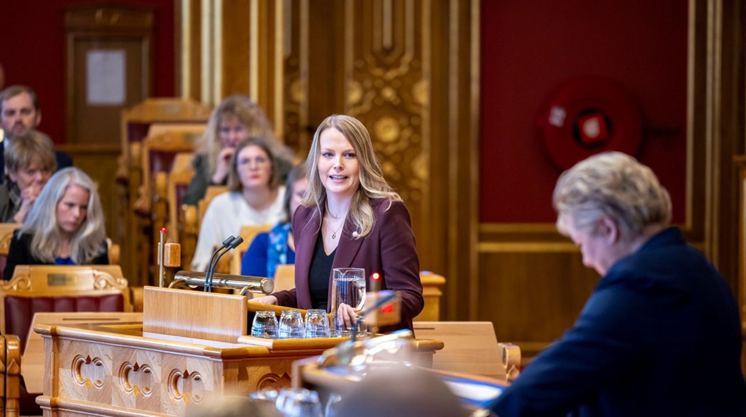Senterpartiets Maren Grøthe anser att den tidigare&nbsp;tyske visekanslern Robert Habeck har ett eget ansvar för den uppkomna situationen.&nbsp;