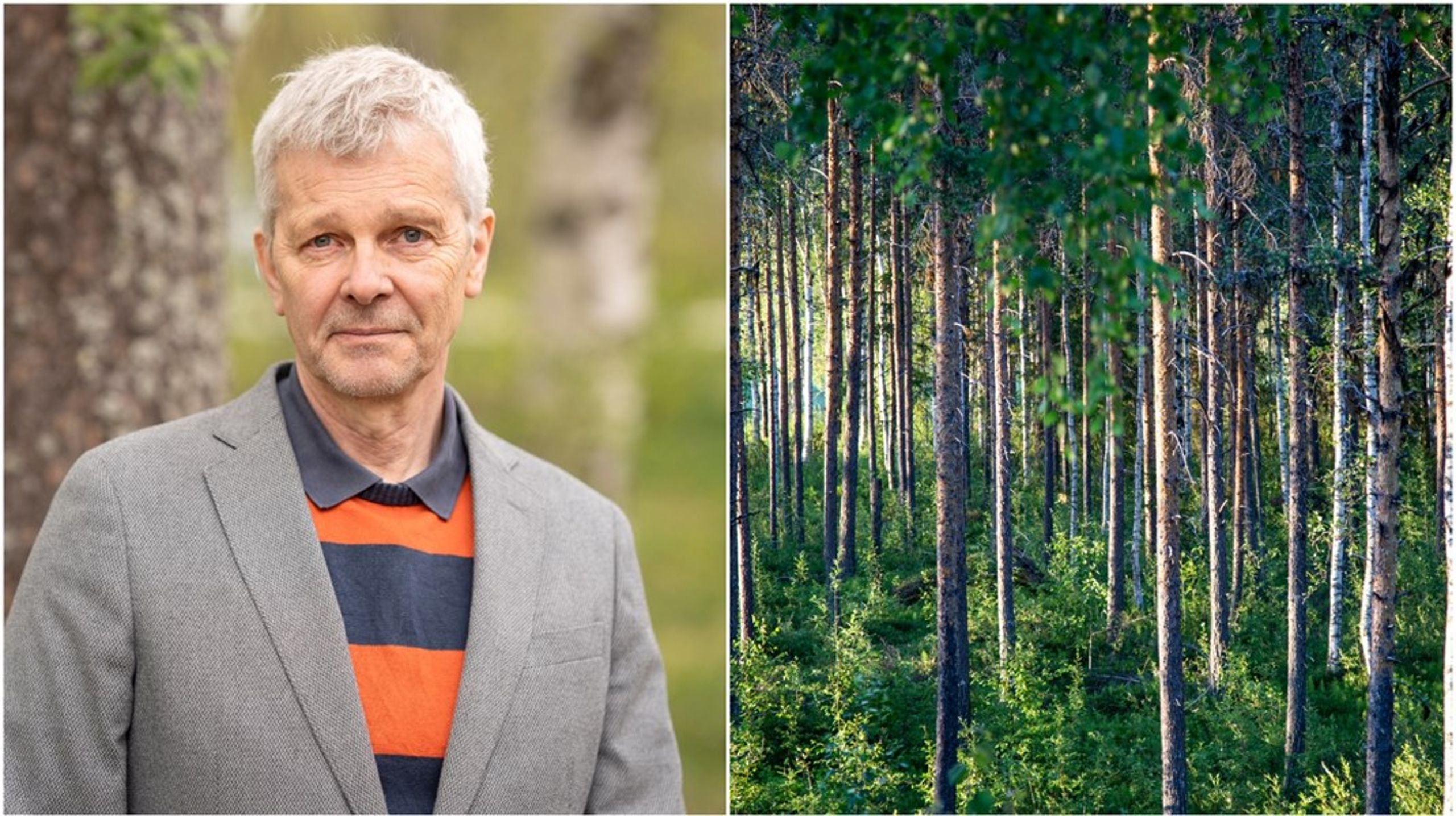 &nbsp;En generell ”bäst för Sverige ambition” bör i stället vara ledstjärnan, skriver debattören.&nbsp;