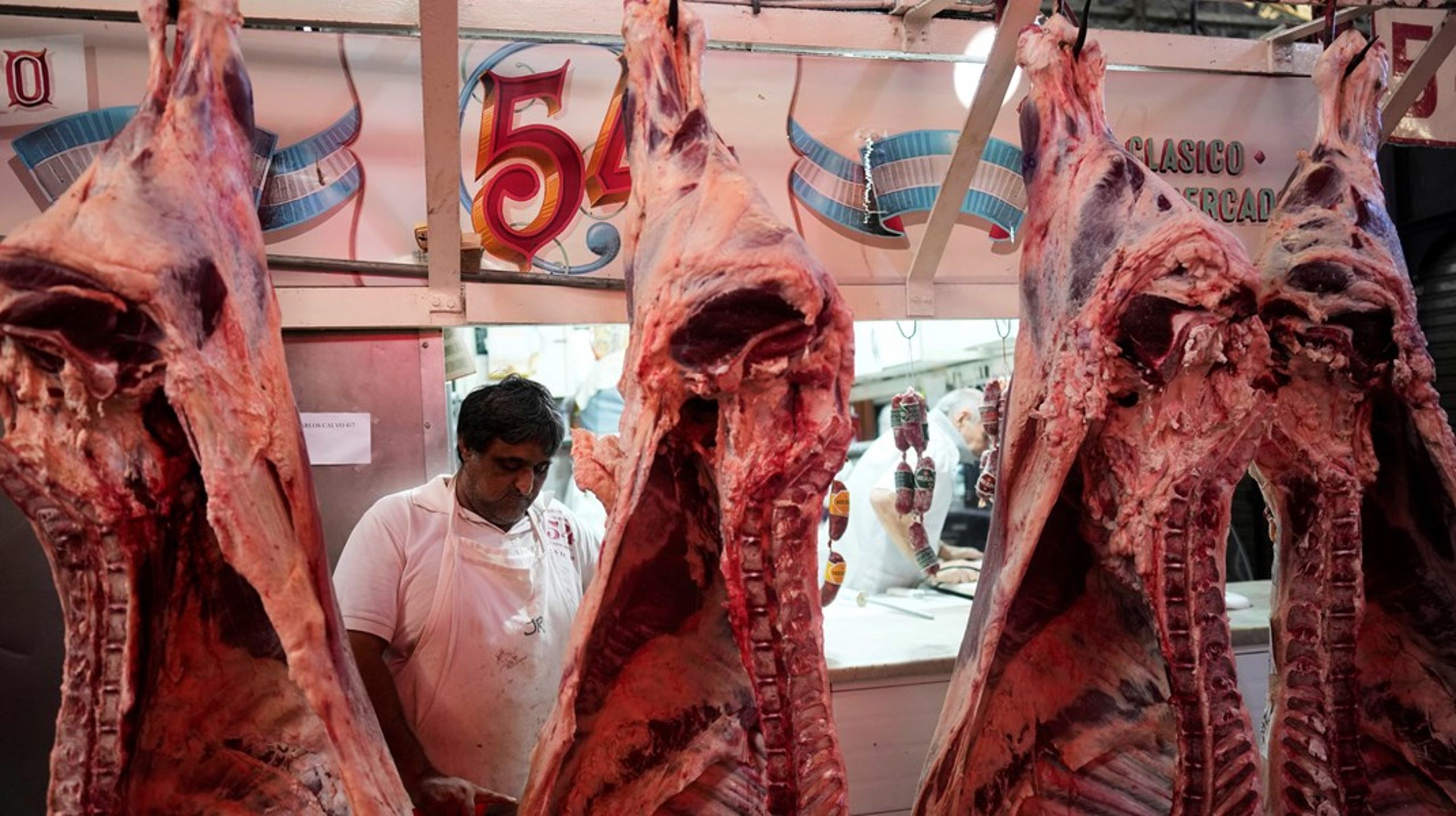 Nötkött är en av de produkter som Europa förväntas importera
mer av från Sydamerika i framtiden som en del av Mercosuravtalet.