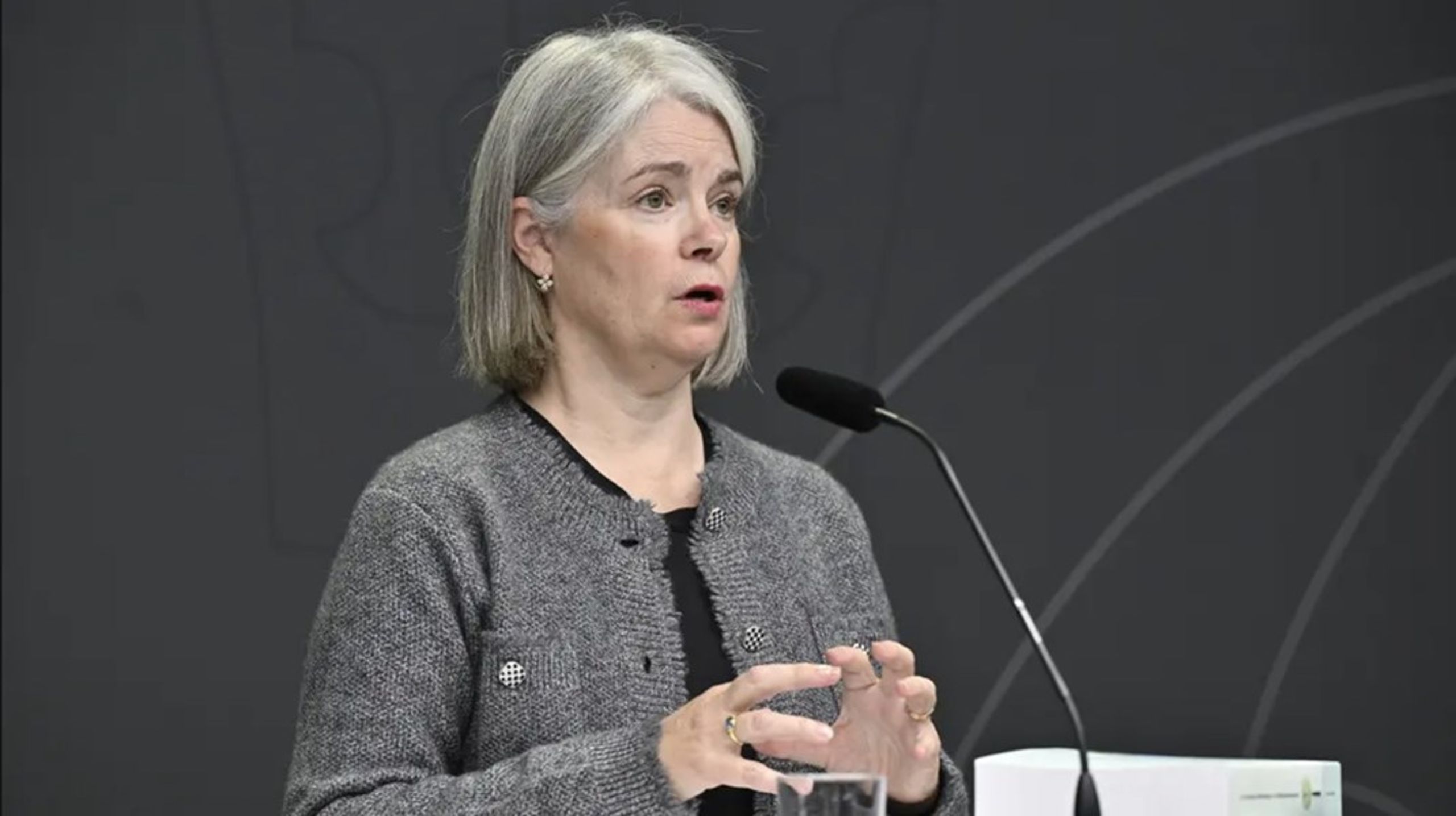 Utredaren Camilla Adolfsson vill minska antalet instanser i överklagandeprocessen.