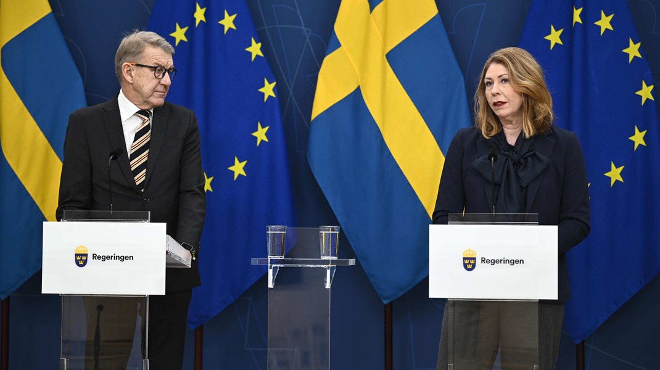 Anders Sylvan ska hitta orsaken till de svenska vårdköerna. Ett uppdrag som sjukvårdsminister Elisabet Lann (KD) lyfte särskilt vid pressträffen.