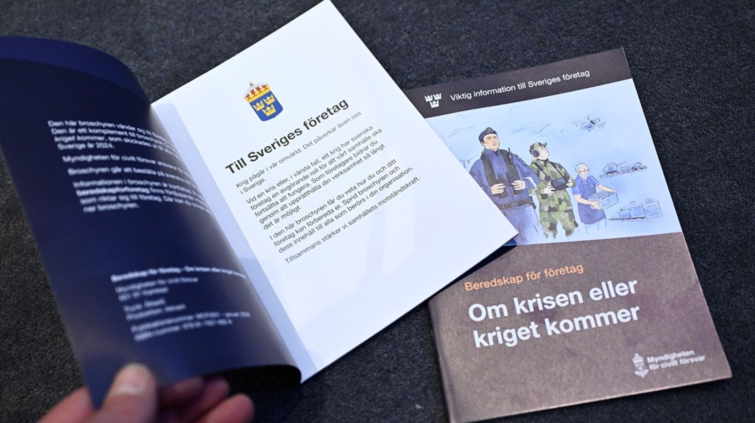 Den 20 januari börjar MCF skicka ut den nya broschyren till omkring&nbsp;130 000 företag.&nbsp;