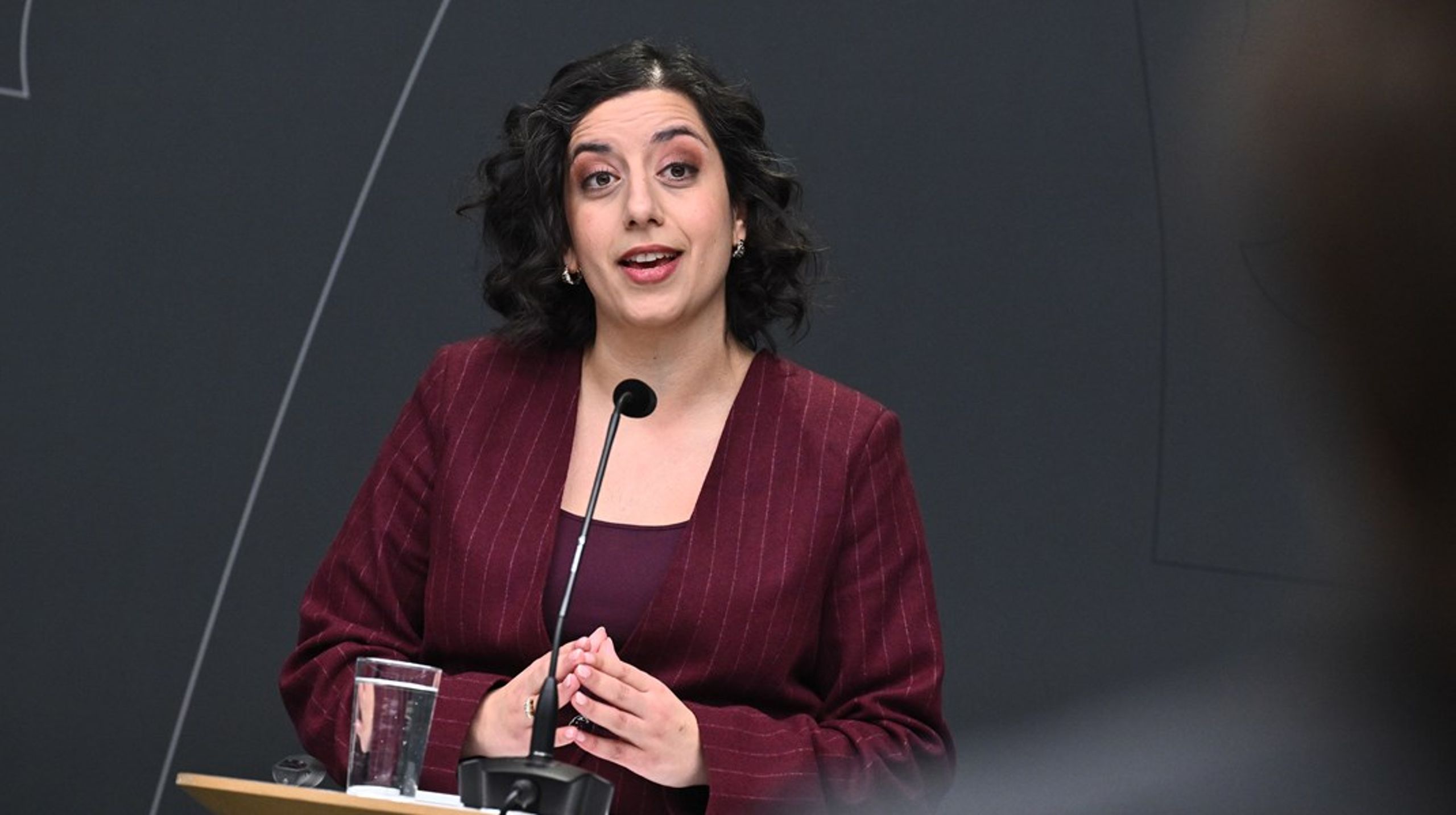 I vår ska stora delar av Simona Mohamssons och Liberalernas förslag för en ”helrenovering av friskolesystemet” lämnas över till riksdagen.