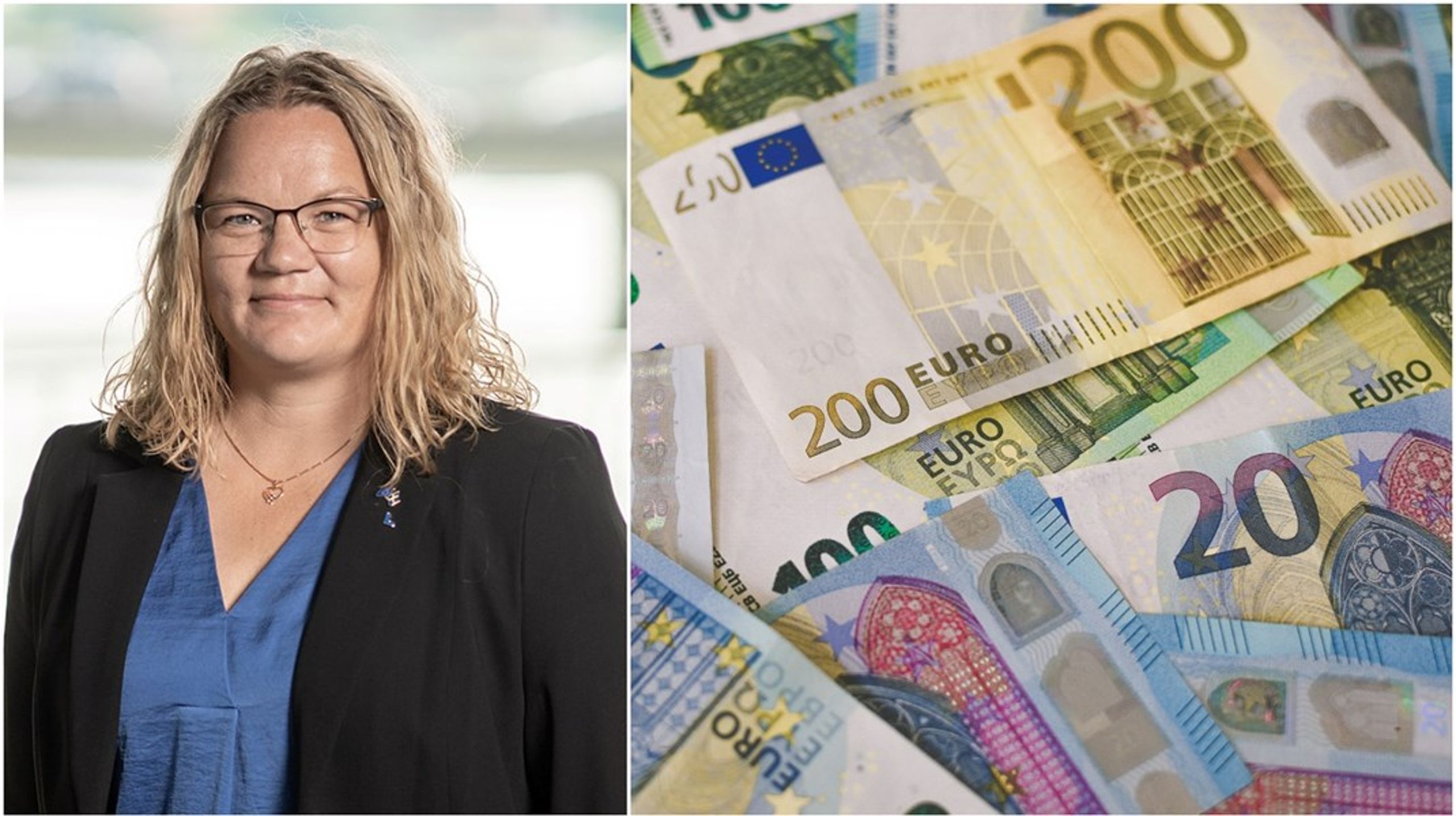 Tisdagen den 27 januari håller riksdagen, på Liberalernas begäran, en särskild debatt om euron.&nbsp;