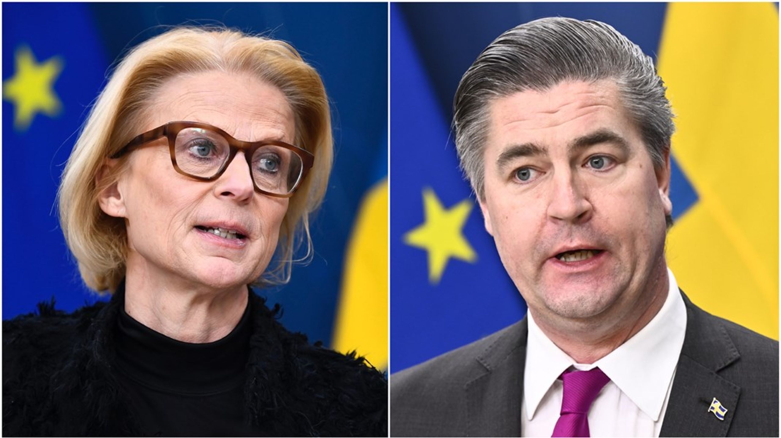SD:s Oscar Sjöstedt säger nej till den euroutredning som finansminister Elisabeth Svantesson (M) vill tillsätta efter valet.