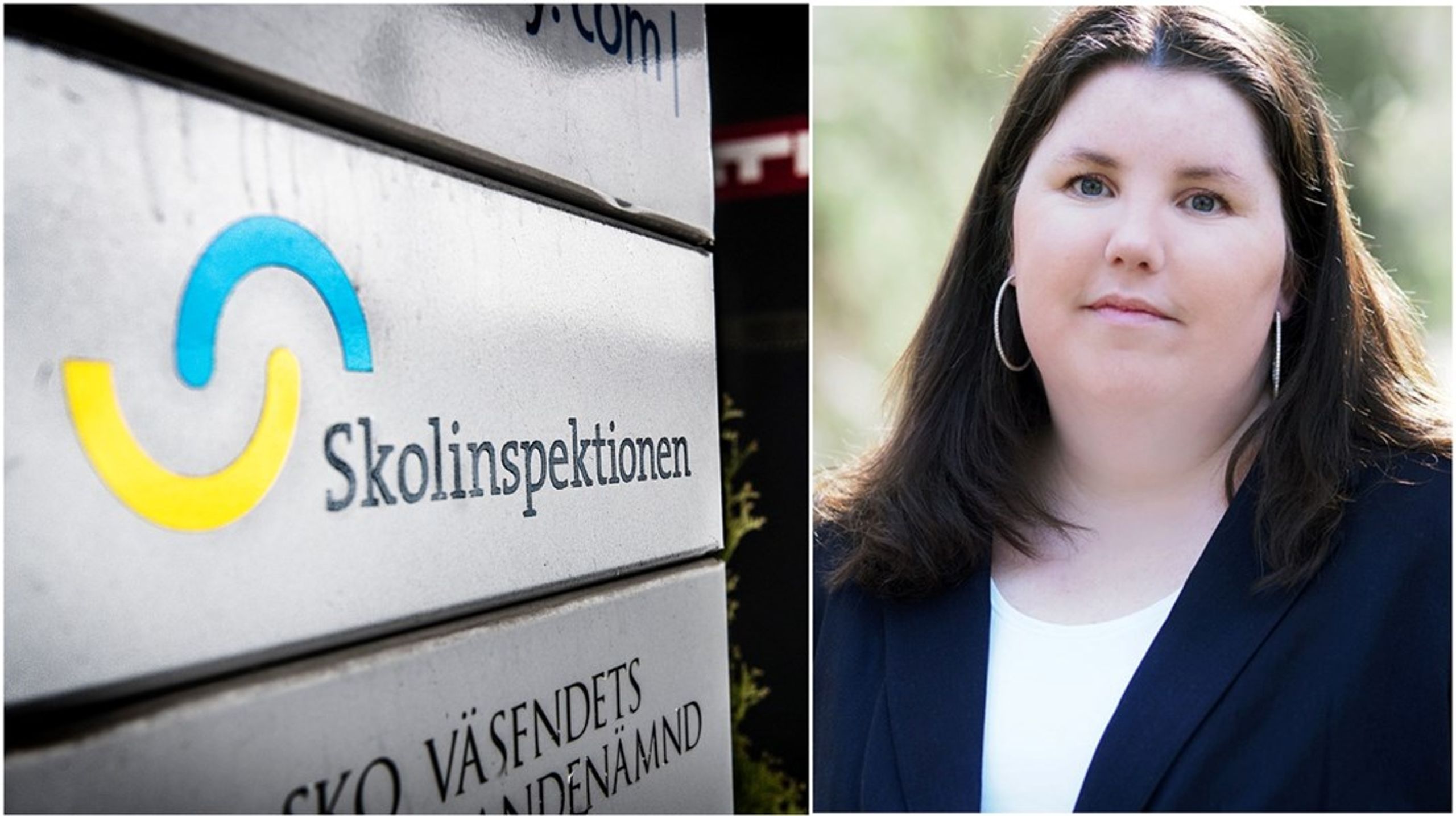 När man skrapar på ytan blir det tydligt att aktiebolag som ägs av stiftelser kan bete sig precis som vinstdrivande skolkoncerner, skriver krönikören.&nbsp;