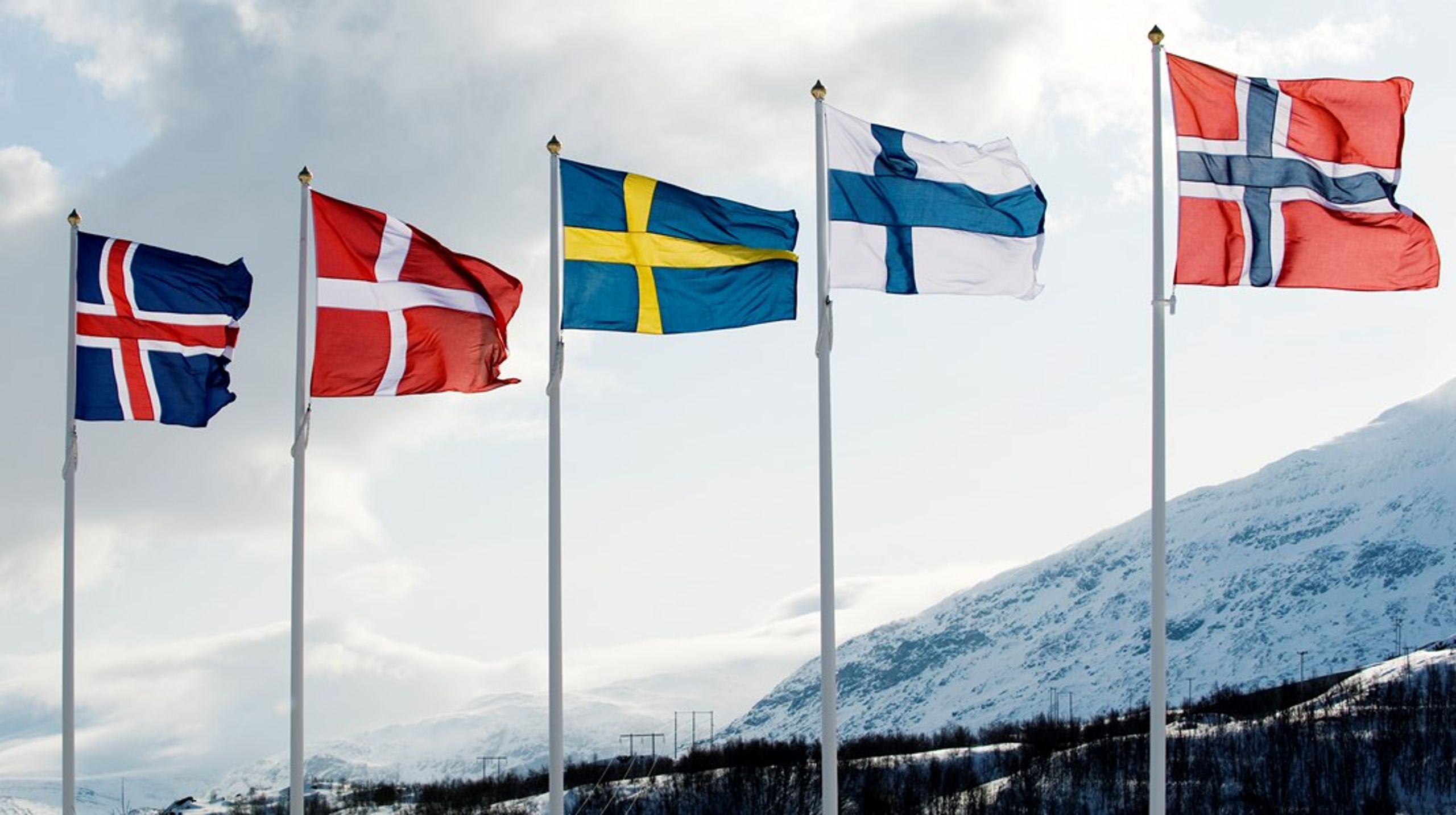 ”Ett starkt Norden är bra för oss själva, för Europa och för världen”, skriver debattören.&nbsp;