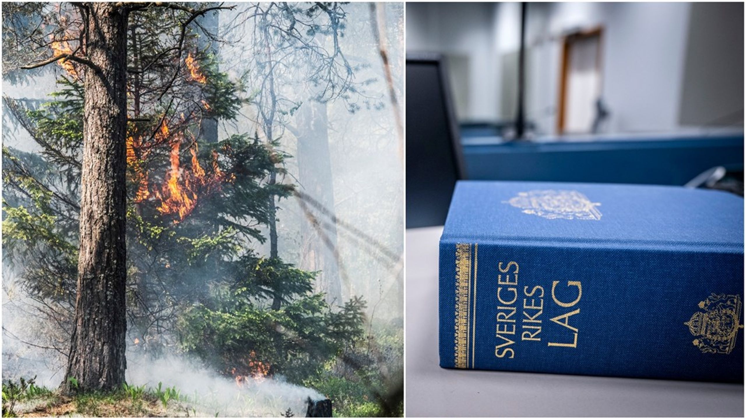 ”Staten måste förbättra sina klimatåtgärder, omedelbart”, skriver debattörerna.