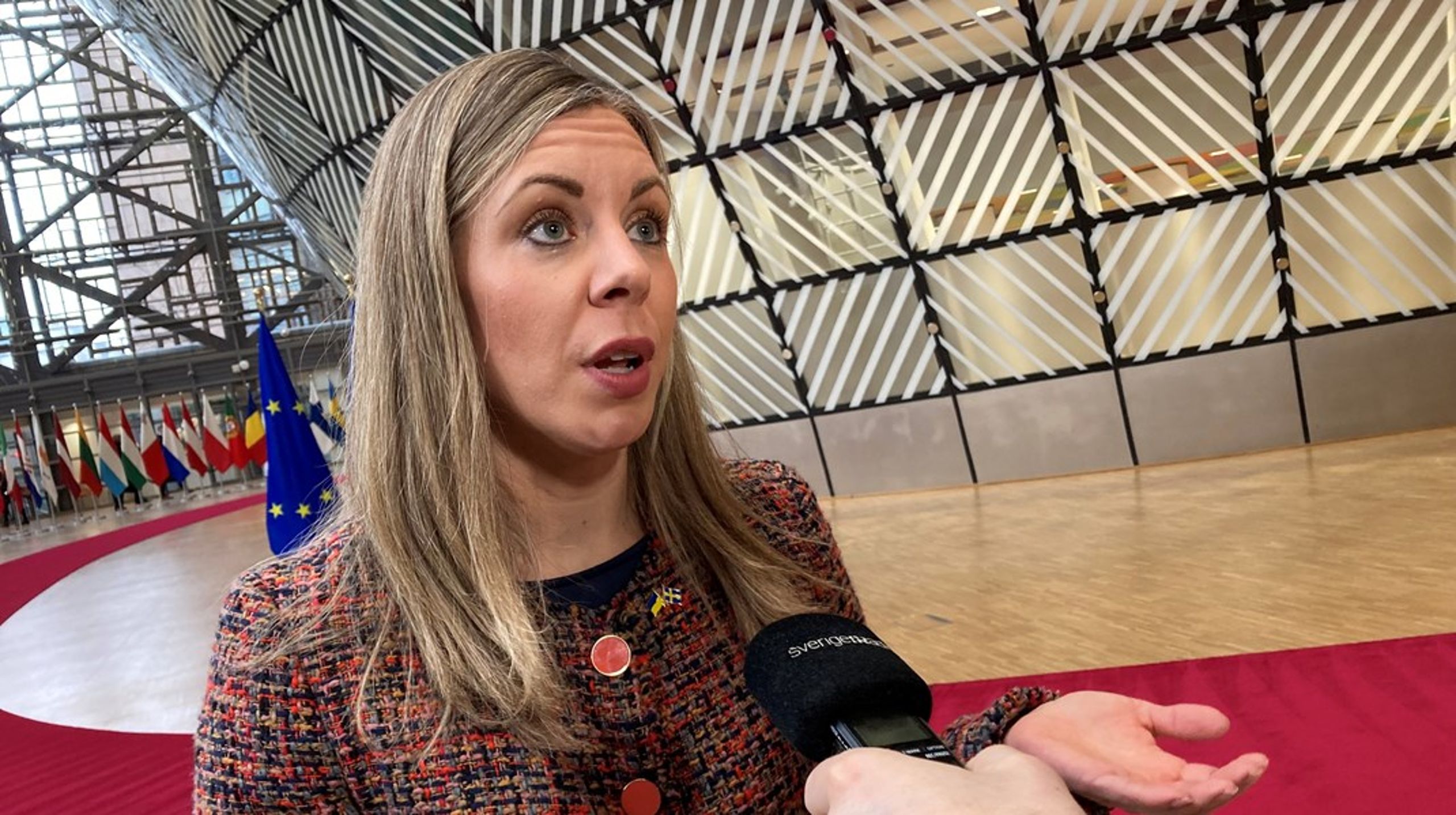 "I dag borde vara en dag av solidaritet där EU tydligt kliver fram och visar vårt fulla stöd. I stället måste jag stå här och beklaga att Ungern fortsätter blockera de här sakerna", säger EU-minister Jessica Rosencrantz (M).&nbsp;