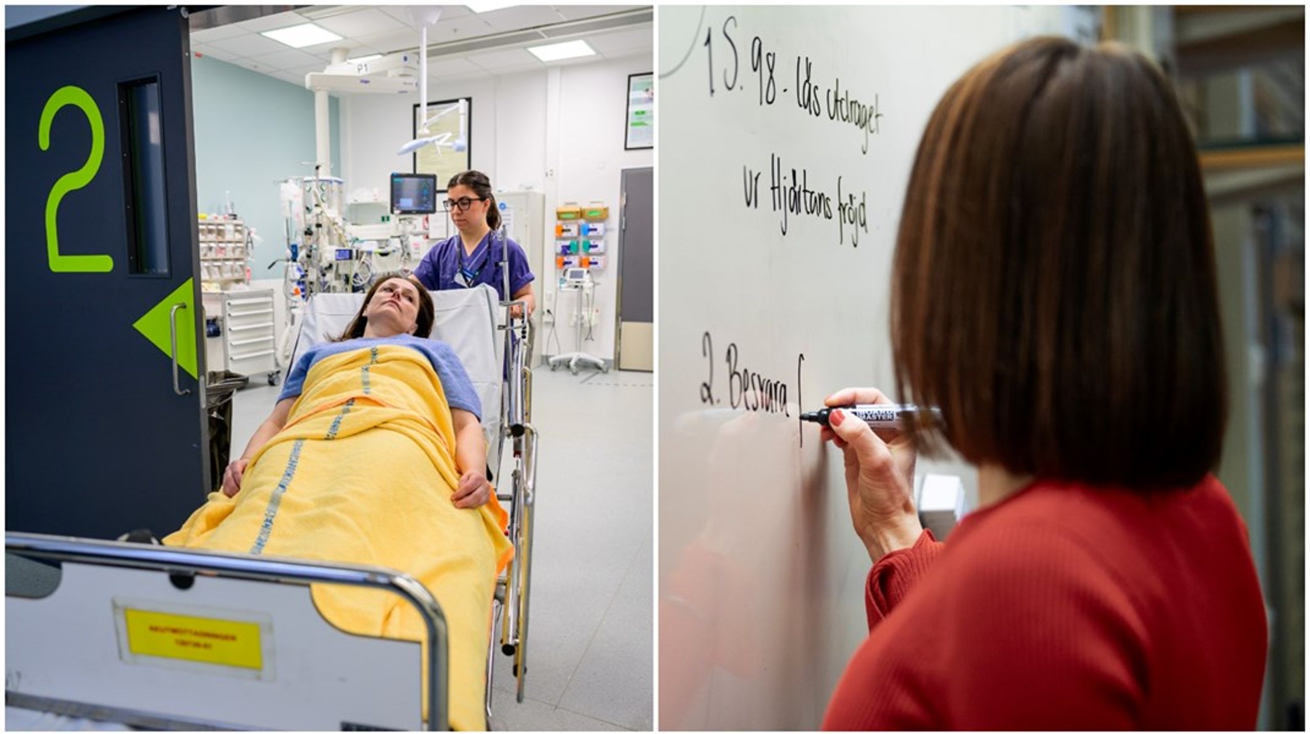 ”Är kvinnodominansen en av orsakerna till att politiker inte tar de galopperande arbetsmiljöproblemen i offentlig sektor på allvar?”