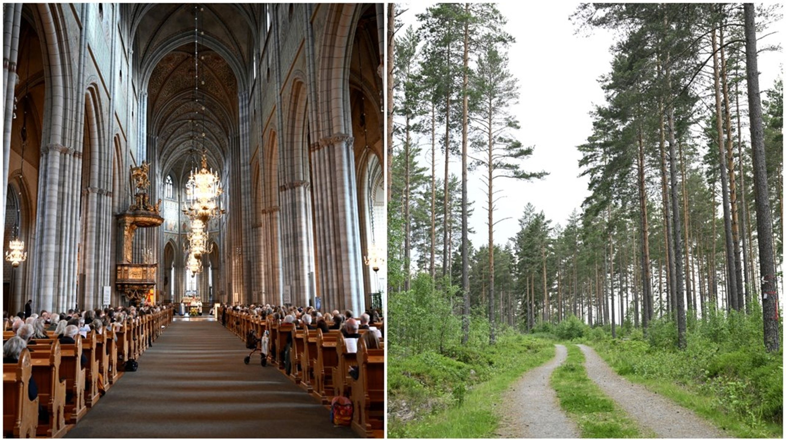 Den industridrivna diskursen har styrt besluten om skogsbruket i Svenska kyrkan, skriver debattörerna.