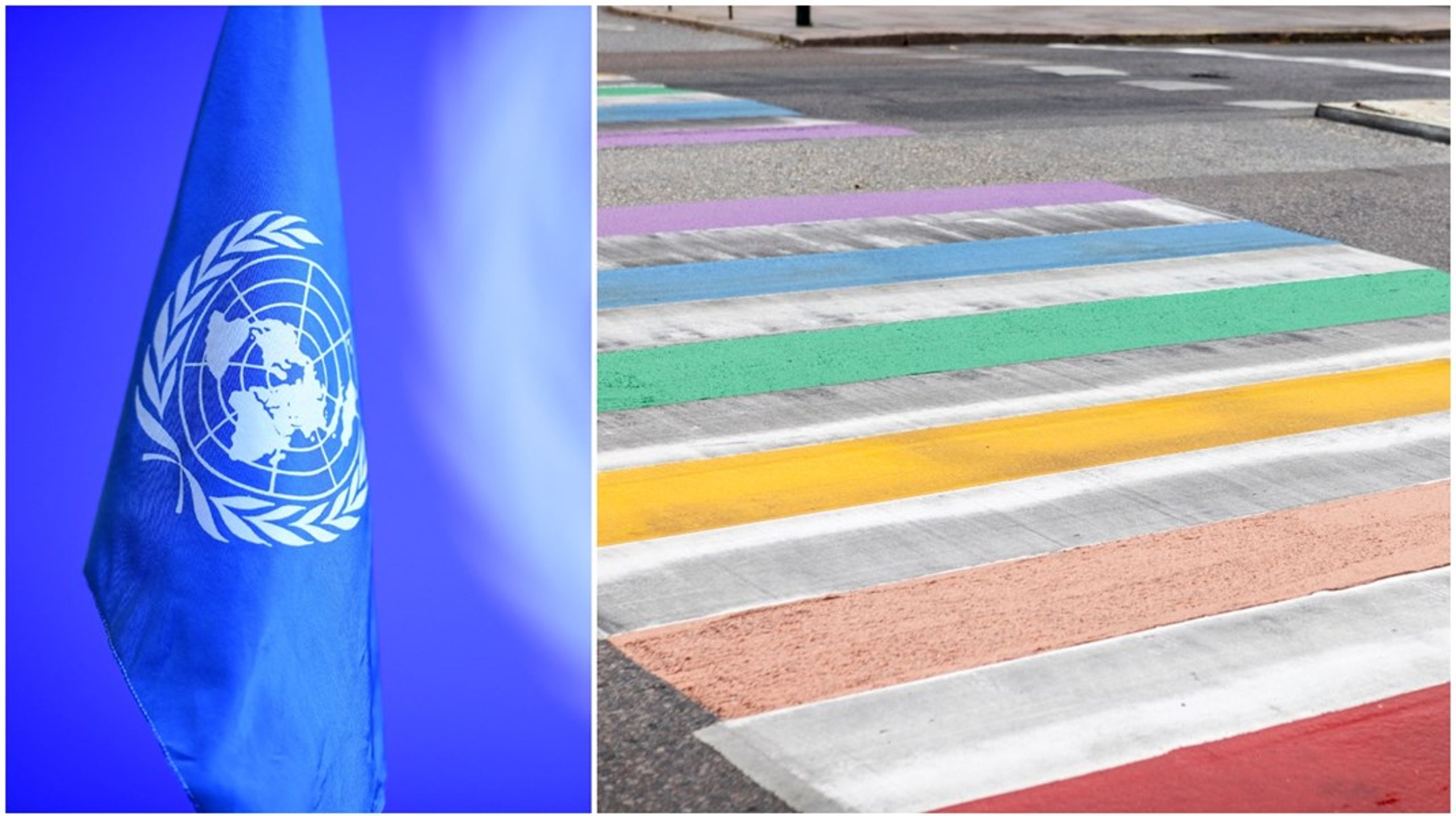 Våra regeringar måste motsätta sig alla försök att försvaga skyddet för kvinnor, flickor och hbtqi-personer, skriver debattörerna.