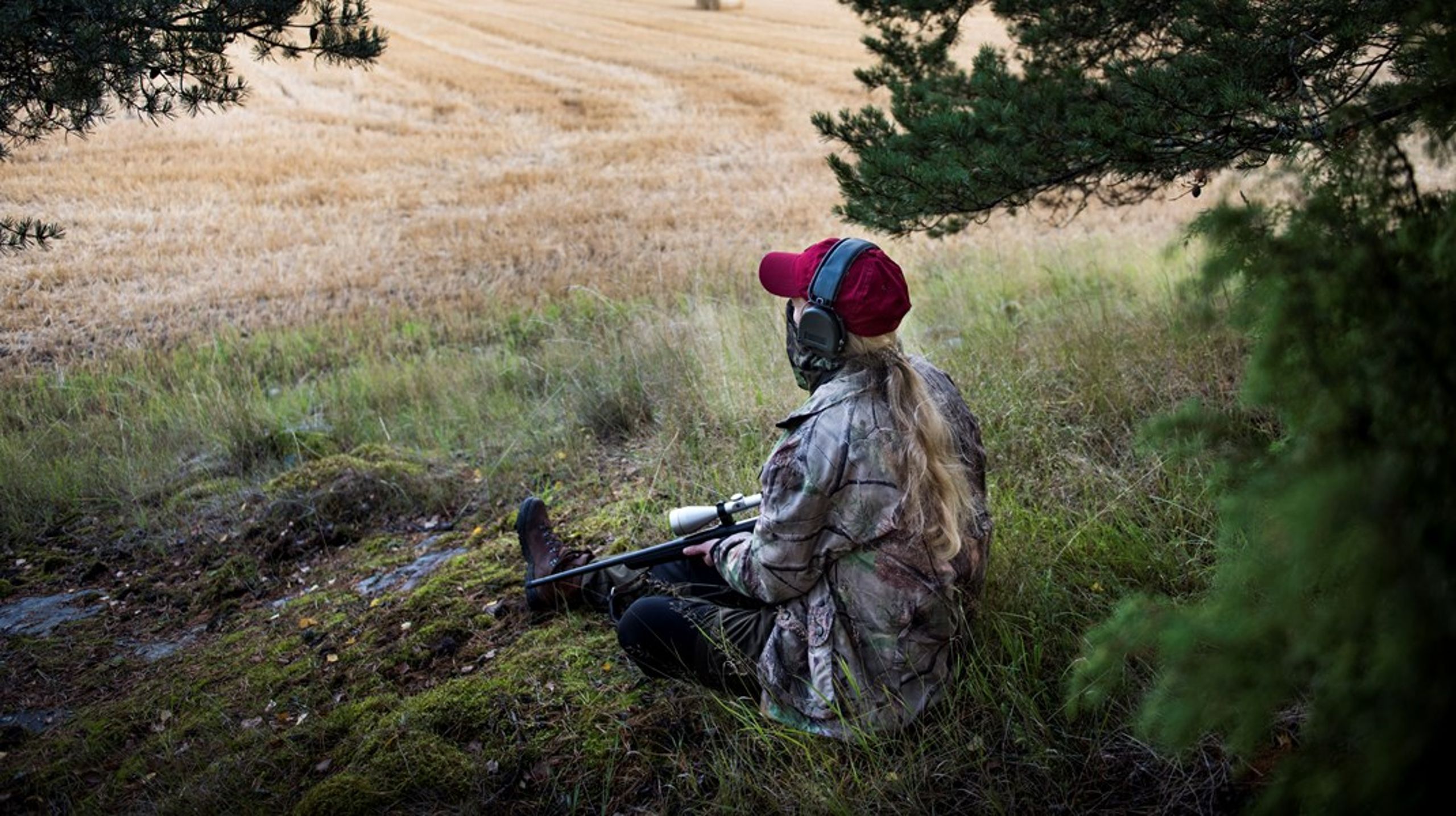 Regeringen borde fram en strategi för hur vi gemensamt säkrar tillgången på morgondagens behov av duktiga skyttar, skriver debattörerna.