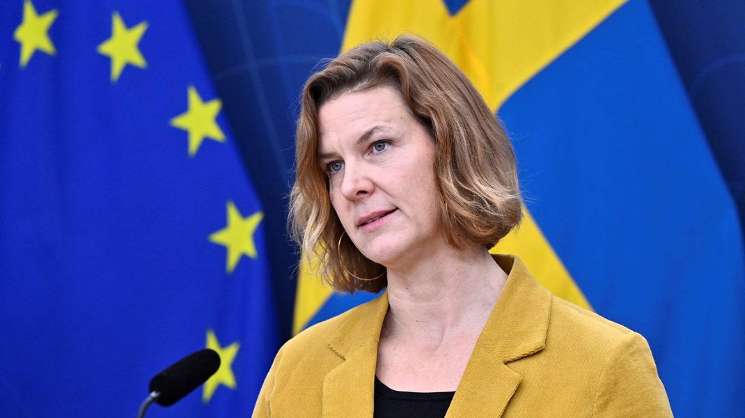 Jämställdhetsminister Nina Larsson (L) vill se att det som inte är tillåtet i den fysiska världen inte heller ska vara tillåtet i den digitala världen. Det är en av de frågor hon har lyft vid FN:s pågående toppmöte i New York.