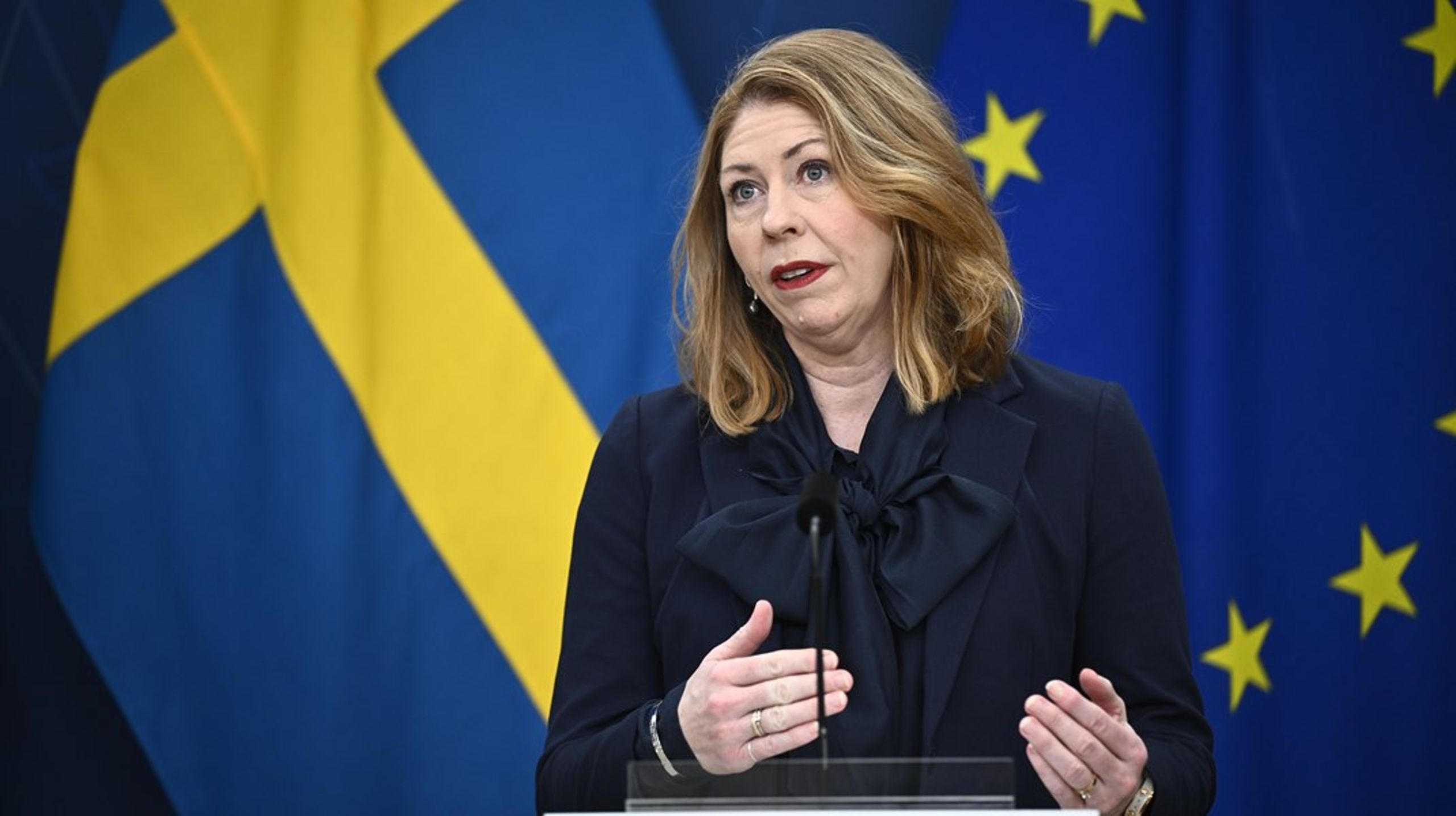 Sjukvårdsminister Elisabet Lann (KD) säger att frågan om köncellsdonatorer inte enbart är en sjukvårdsfråga för de europeiska&nbsp; länderna.