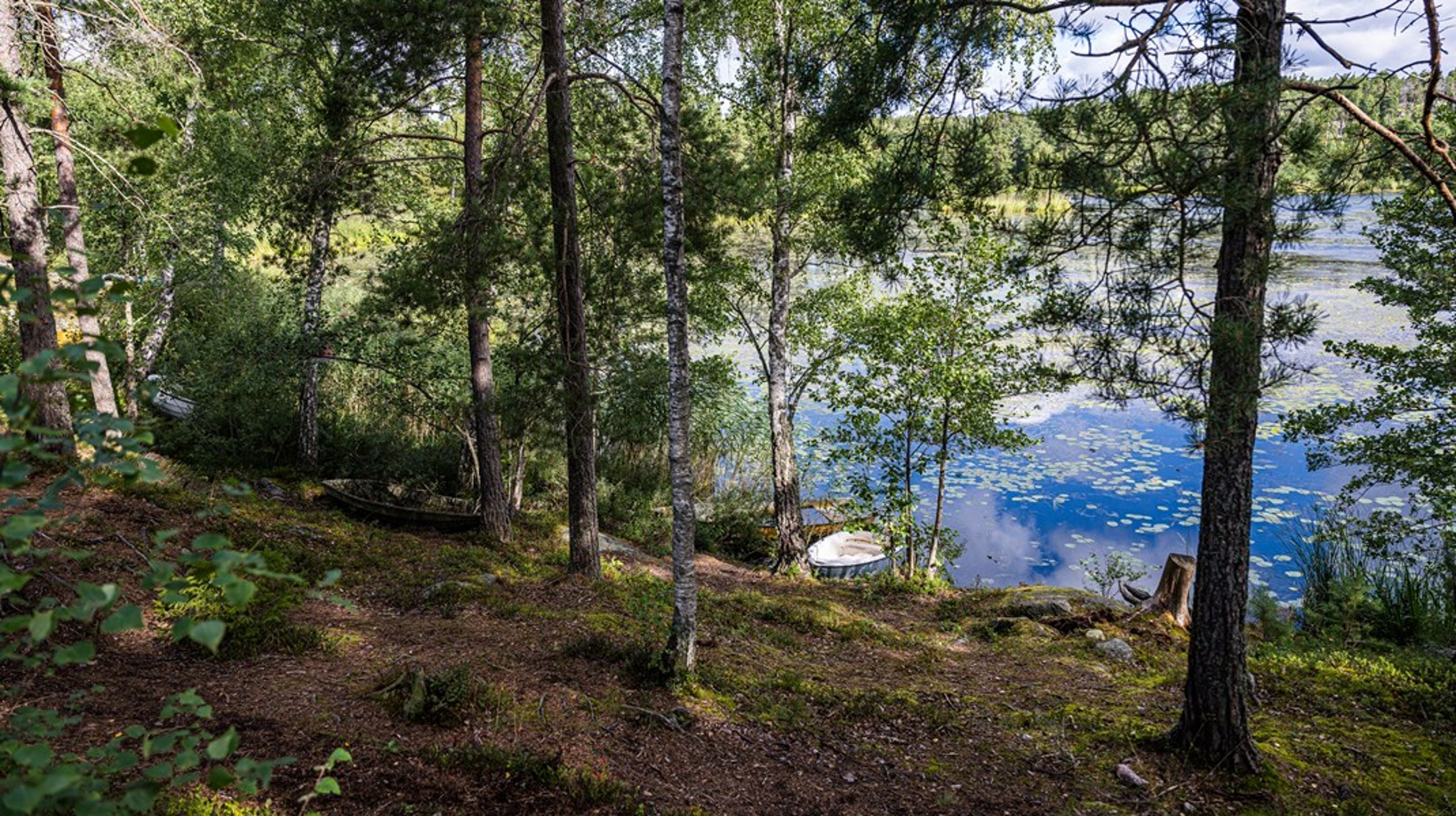 Kunskaperna om föroreningar i landets sjöar är för dålig, enligt Naturskyddsföreningen.