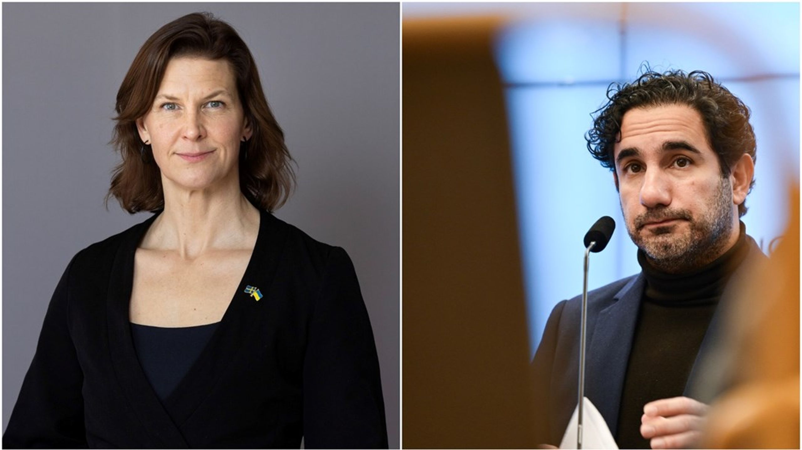 En ny remissrunda hade inneburit att direktivet inte kan genomföras under mandatperioden, med risk för stor osäkerhet och dryga EU-böter som följd, skriver statsrådet.&nbsp;