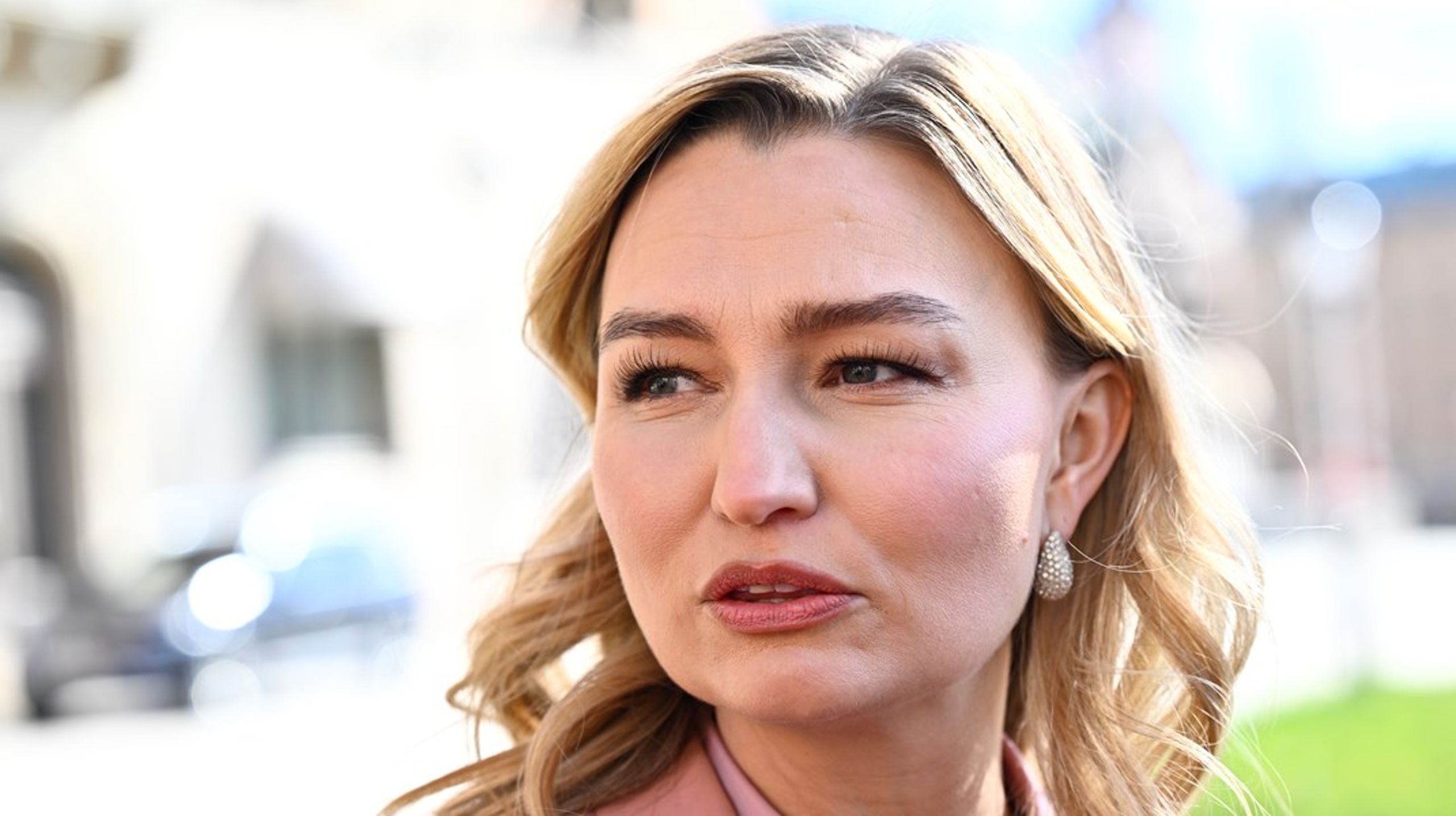 Nytt grus i vindkraftsmaskineriet för Ebba Busch?