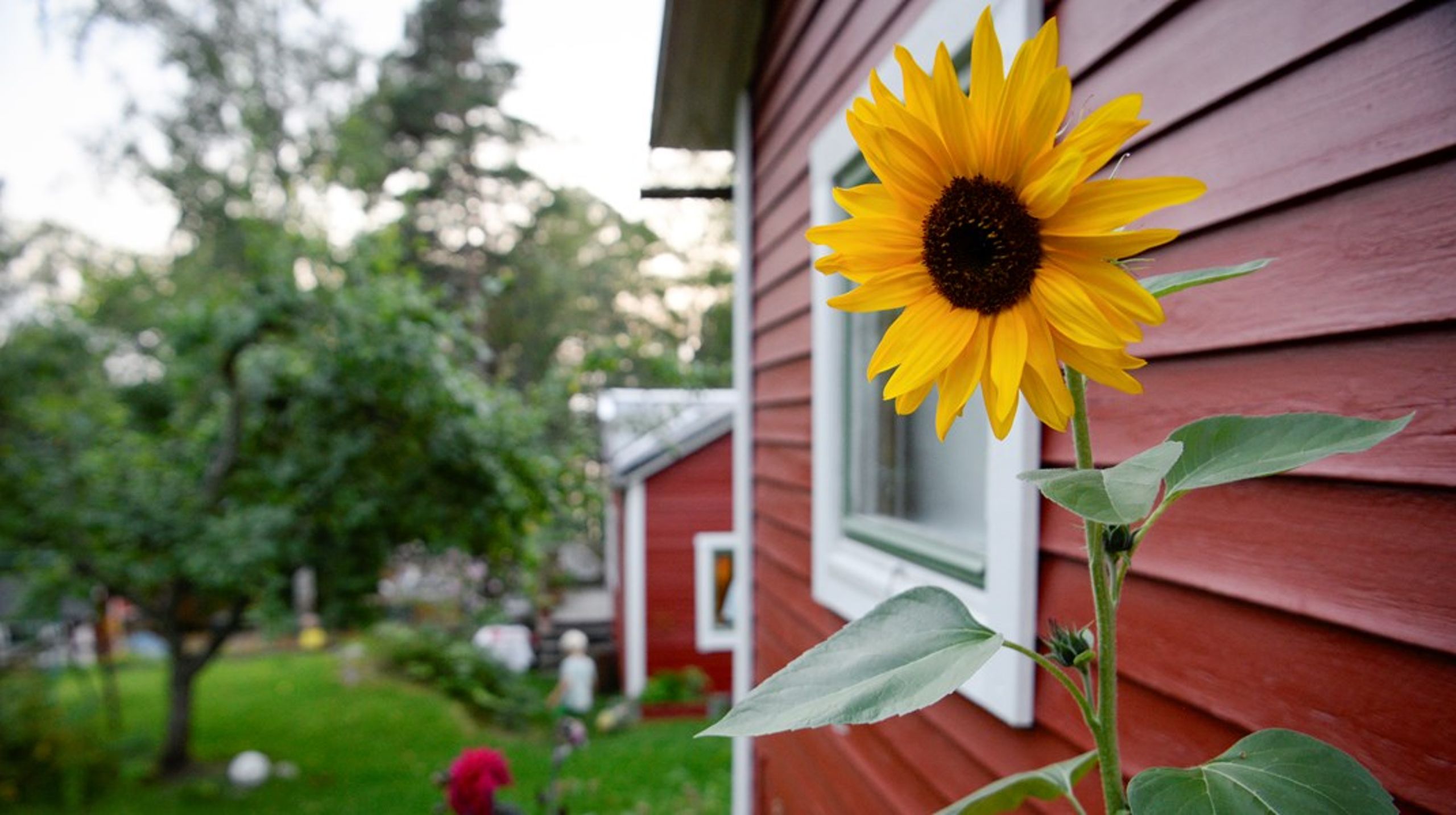 Att bo i sommarstugan kan ställa helt andra krav på hemtjänsten. För mottagande kommun kan det bli betydligt dyrare.