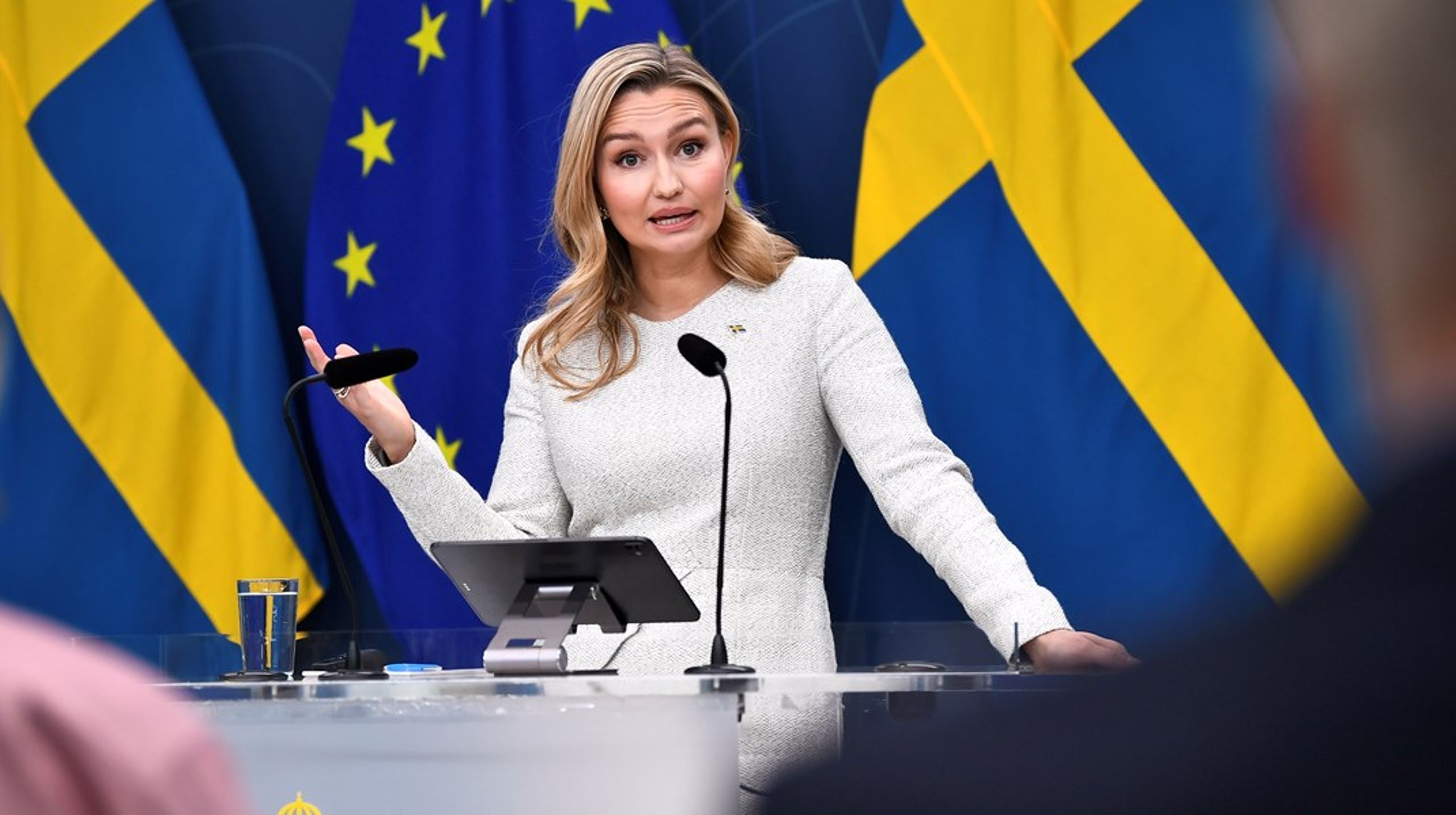 Det är "fysiskt omöjligt" att bygga bort flaskhalsproblemen utan ny basproduktion, menar Busch, som vill få EU att öppna för att flaskhalsintäkterna ska kunna användas bredare än i dag.&nbsp;