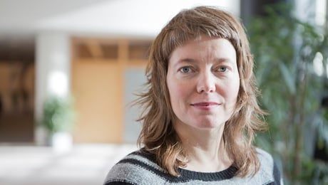 Björk (V) om oredovisade pengar: Svensk öppenhet måste gälla också i EU