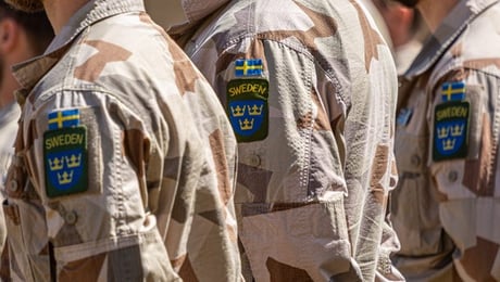 ALS bland utlandsveteraner utreds av Försvarsmakten 
