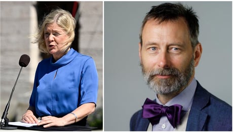 Johan Ernestam ska utreda vinstförbud – aktiebolagens lämplighet ses över